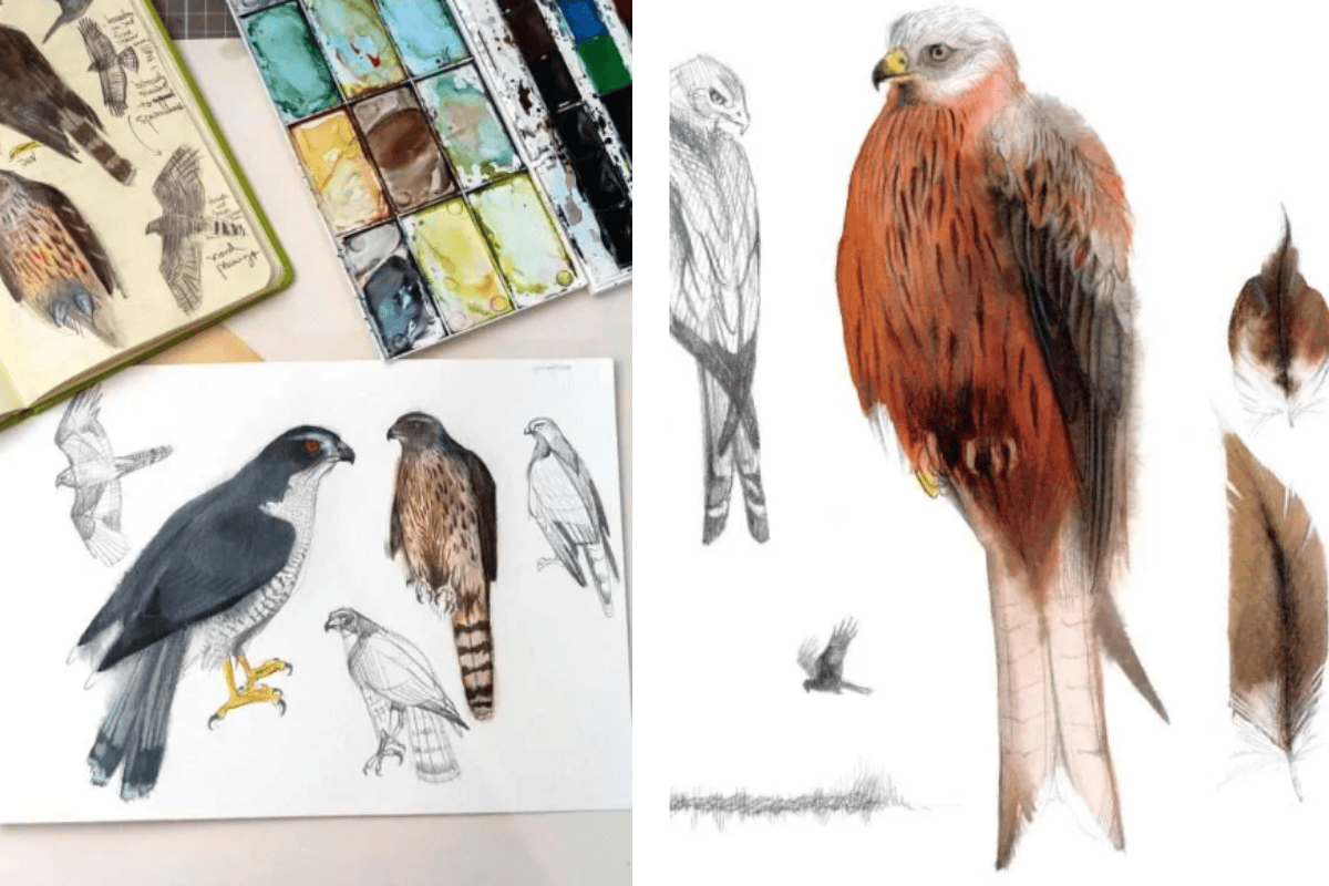 Bird Watercolor Workshop