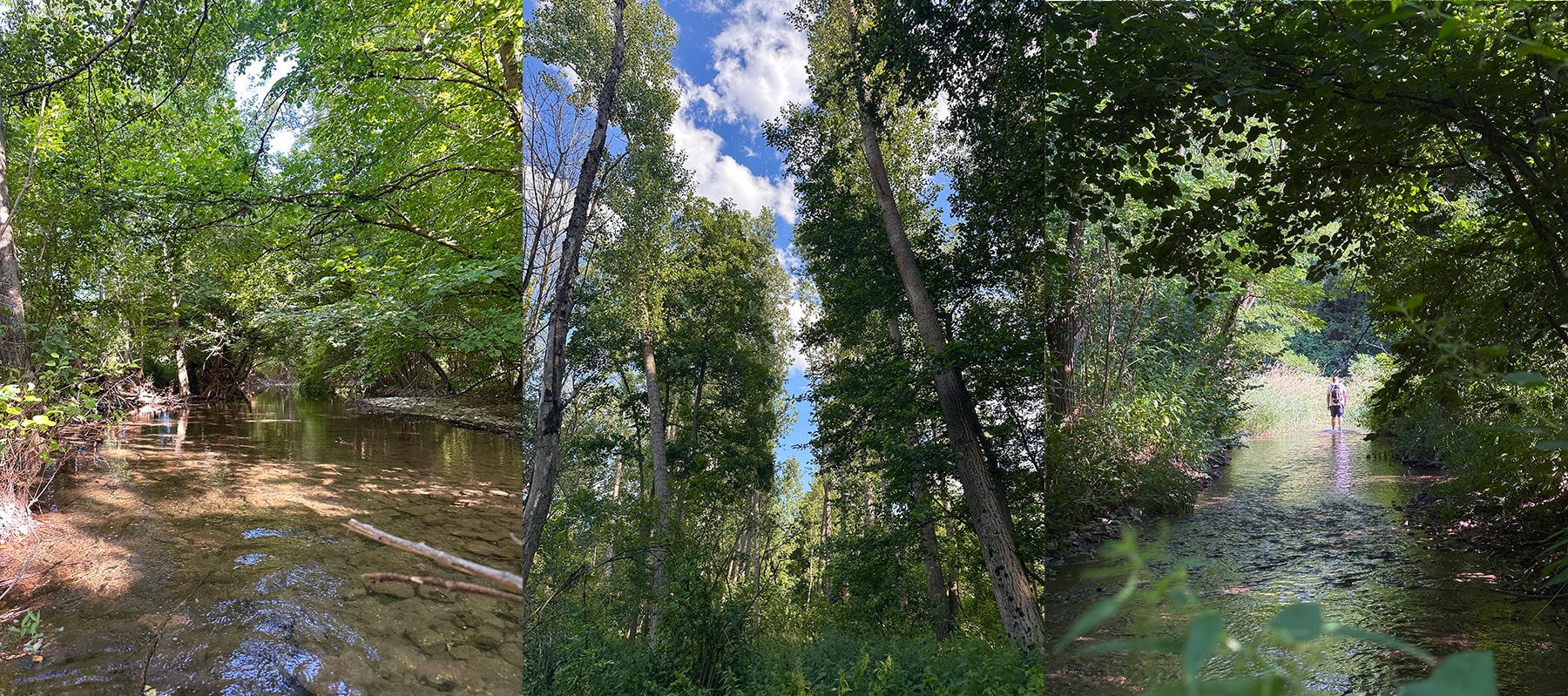 Timočka džungla i manastir Krepičevac