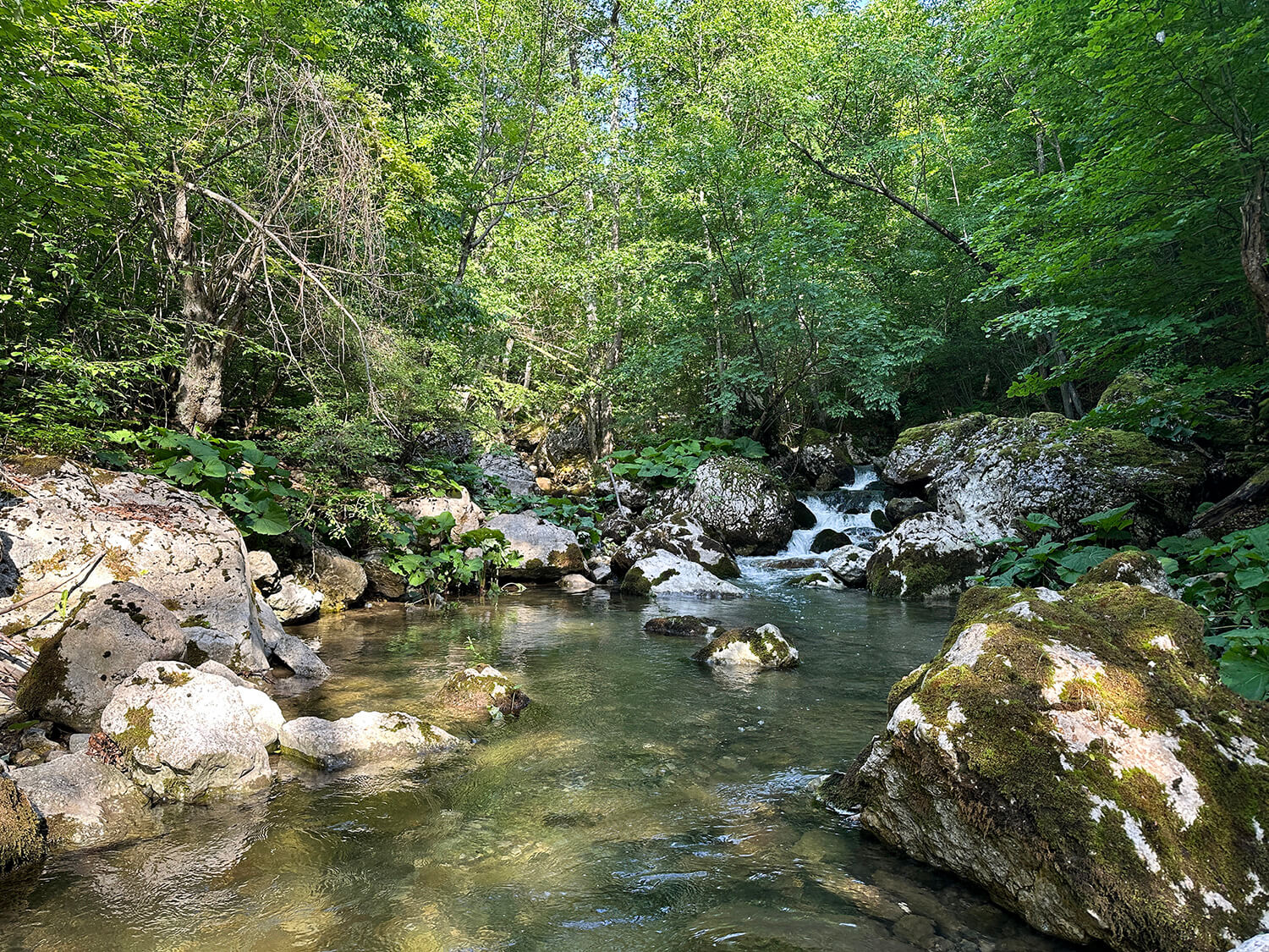 Kanjon reke Trešnjice i Dve Kule tvrđave