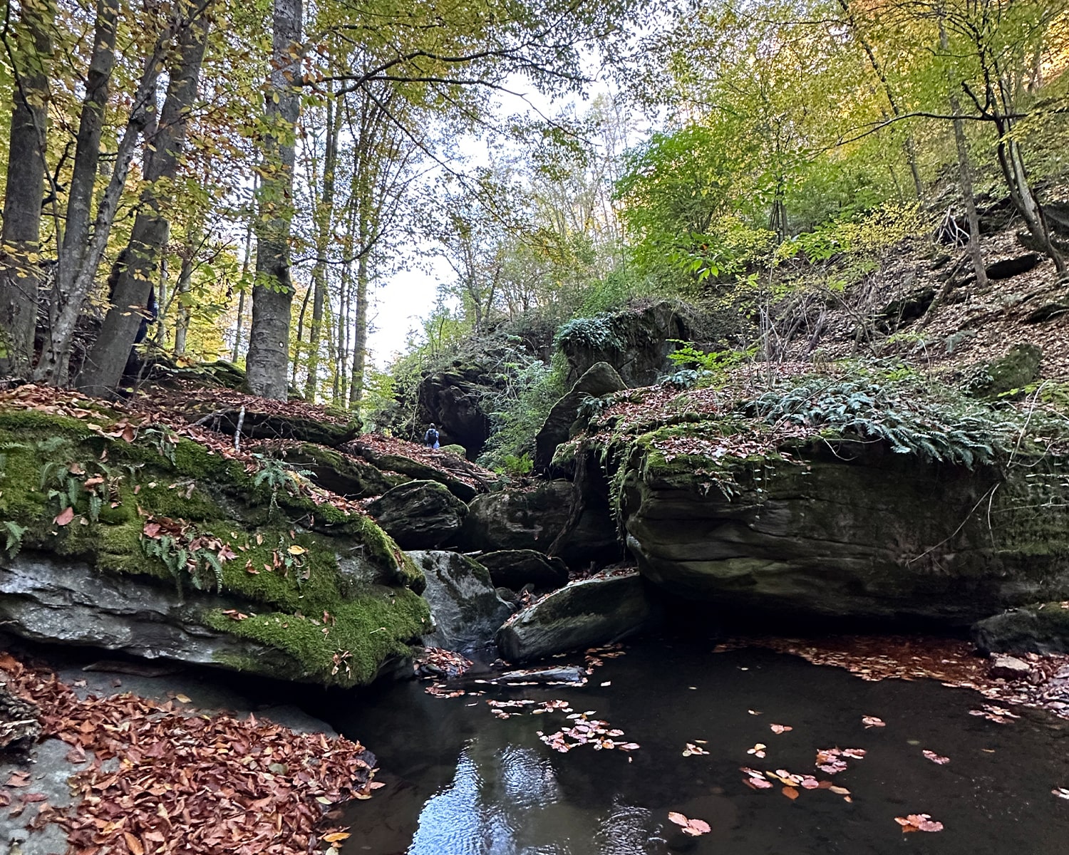 Kanjon Voljevice i Bešnjaja