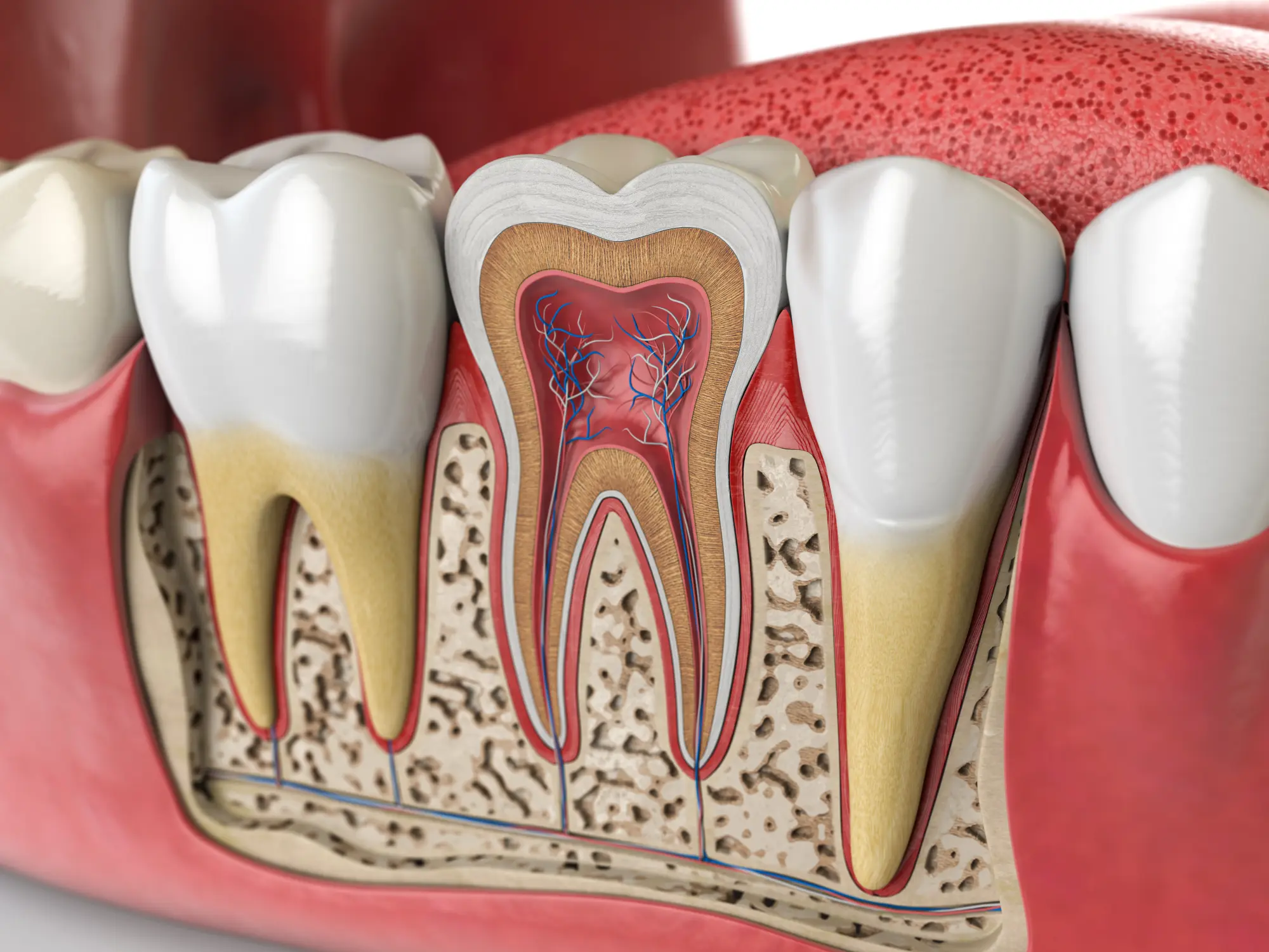 Root Canal Therapy: Why Modern Treatment Is Easier Than You Might Think