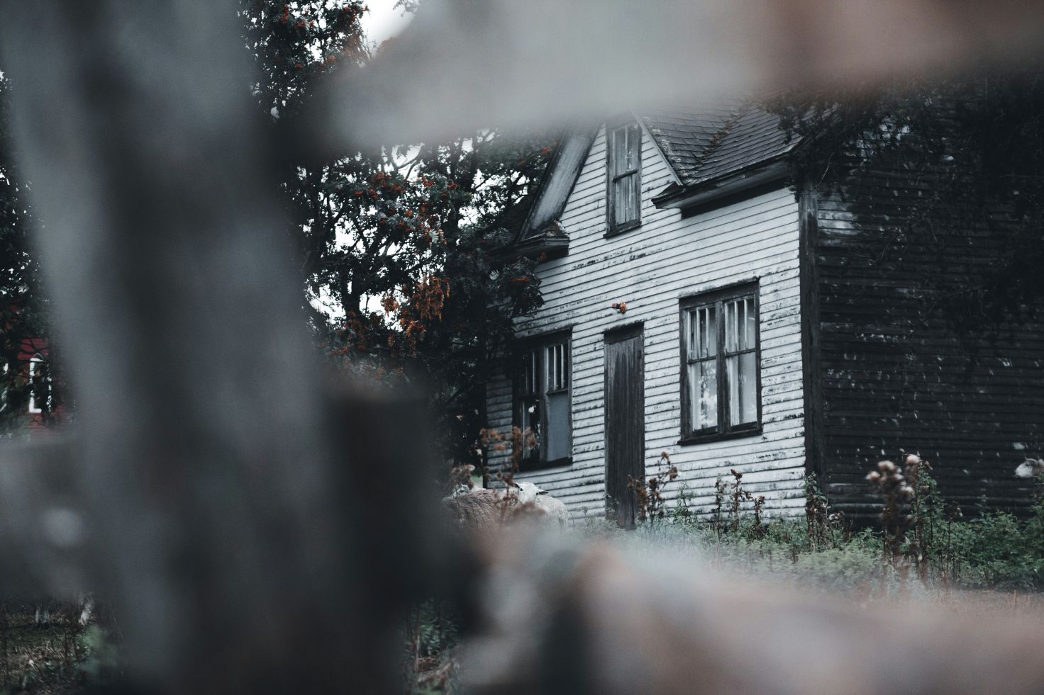 Fire, Water, or Mold: Why Freedom Buys Houses the Banks Won't Touch