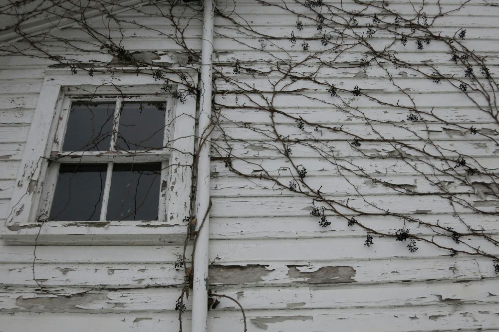 How to Sell a House with Sinkhole Damage in Florida: Navigating Geological and Legal Hurdles