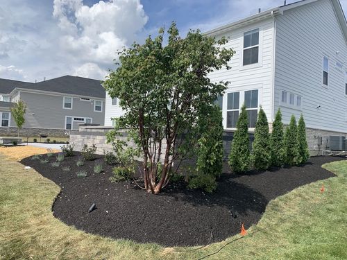 Kong Patio in Galena