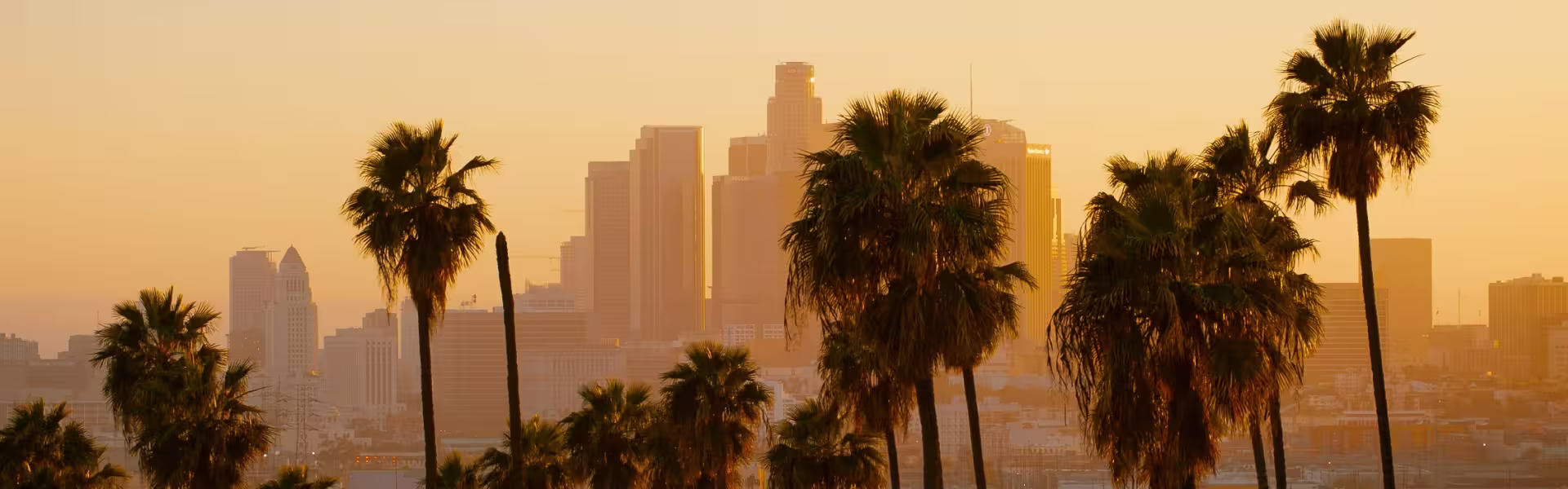 Los Angeles downtown skyline with palm trees at sunset, featuring tall skyscrapers and golden evening light