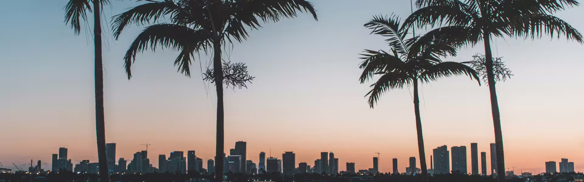 Miami city skyline at sunset with palm trees in the foreground — modern urban landscape used as header image for Lazarev.agency’s Miami web design services page