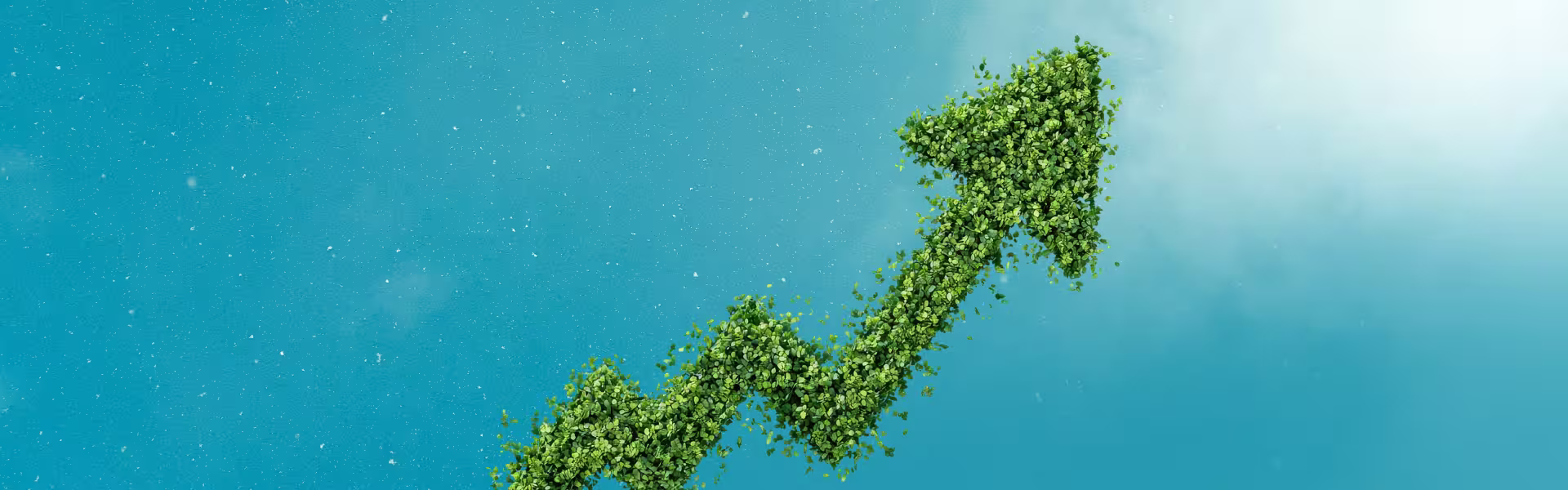 Green growth arrow pointing upward against a blue sky, symbolizing progress and positive development.