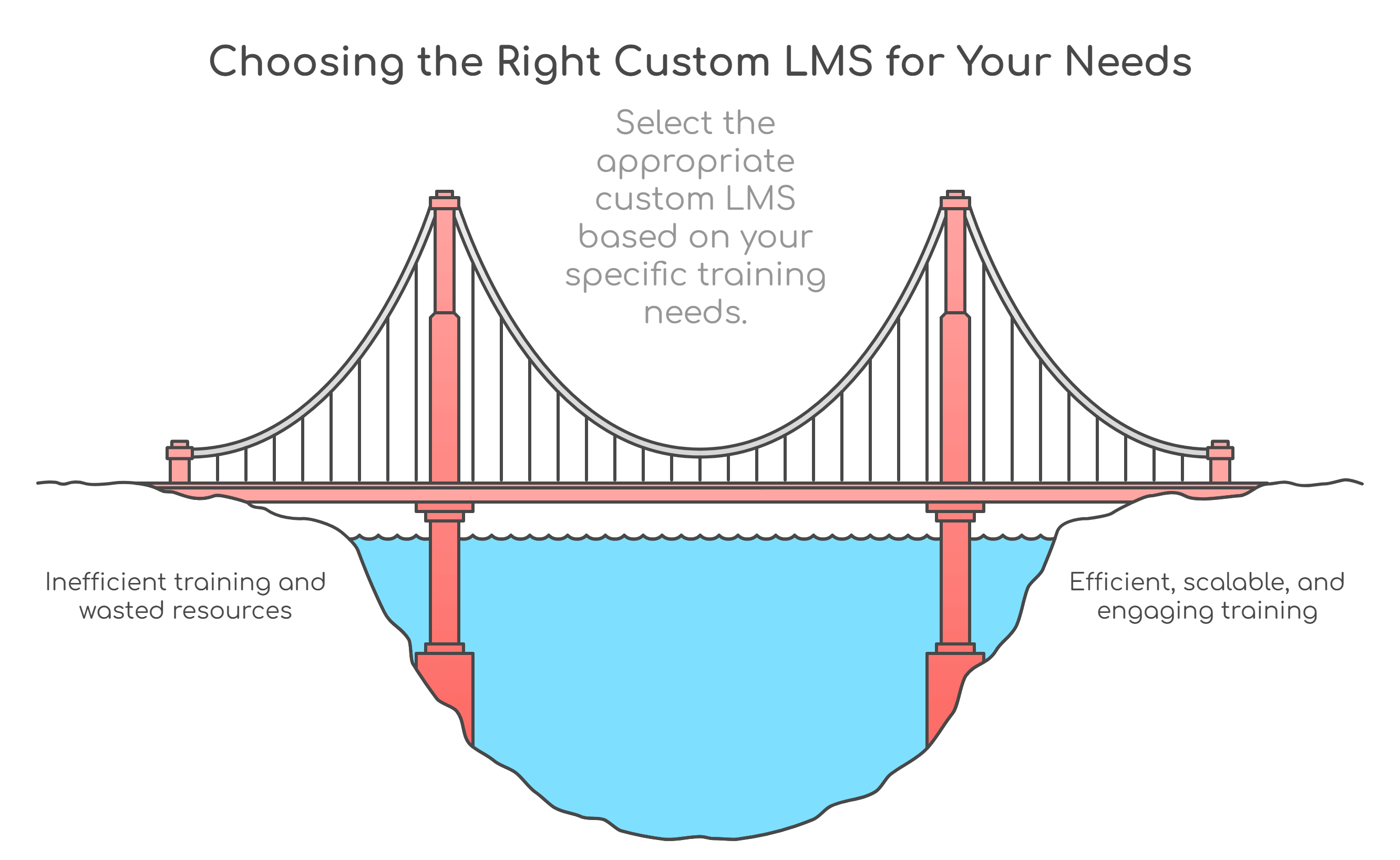 Types of Custom LMS