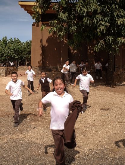 A man harvesting a ripe agave piña to get ready to make tequila