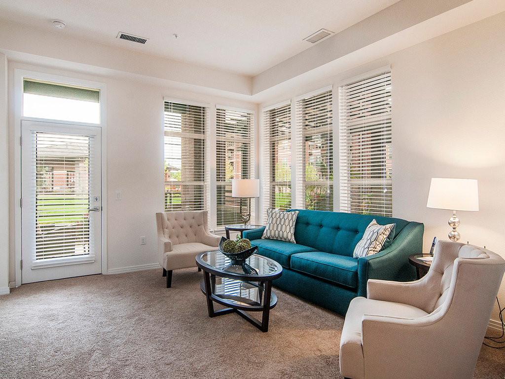 Living area with sofa, coffee table, lamp and large floor to ceiling windows