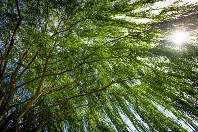 Roanoke Health Rehab Expert Recovery Care Rehab in Roanoke