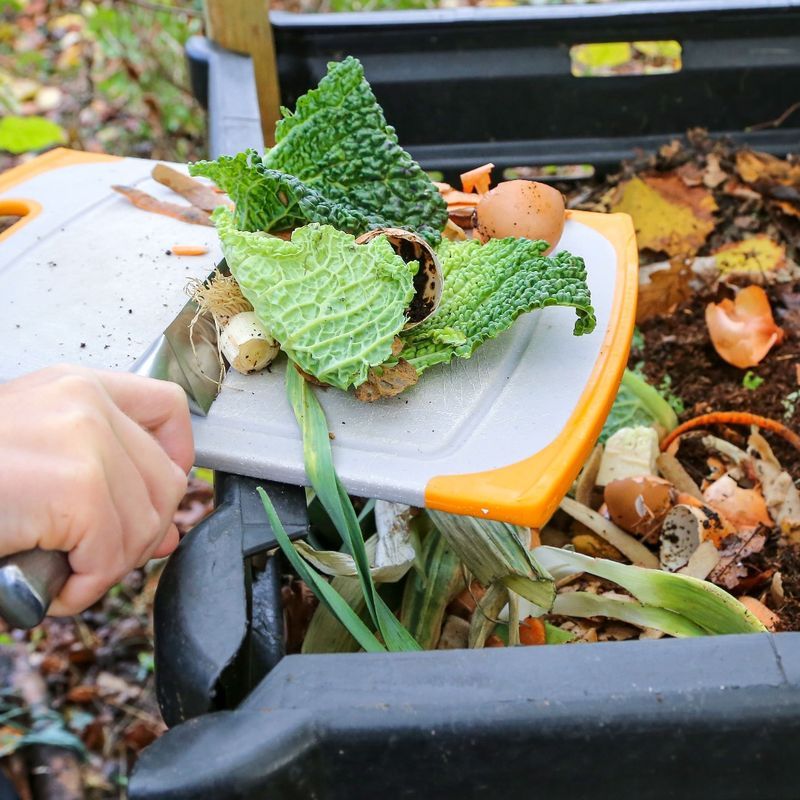 CELYS™ Biodegradable Polyester — Sustainability