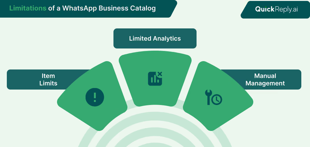 Limitations of WhatsApp Business