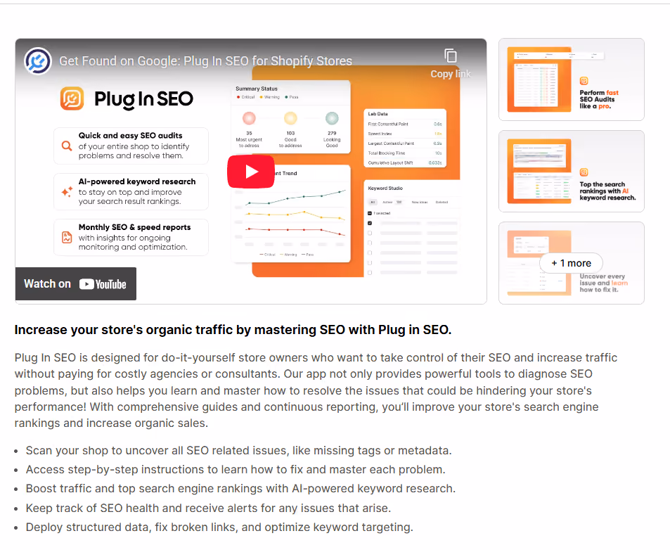 Plug In SEO