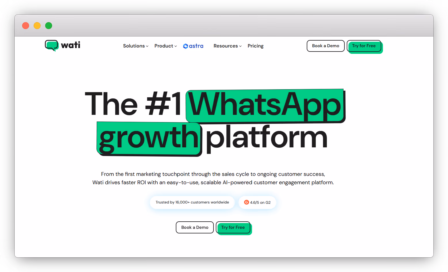 WhatsApp API Provider: Wati