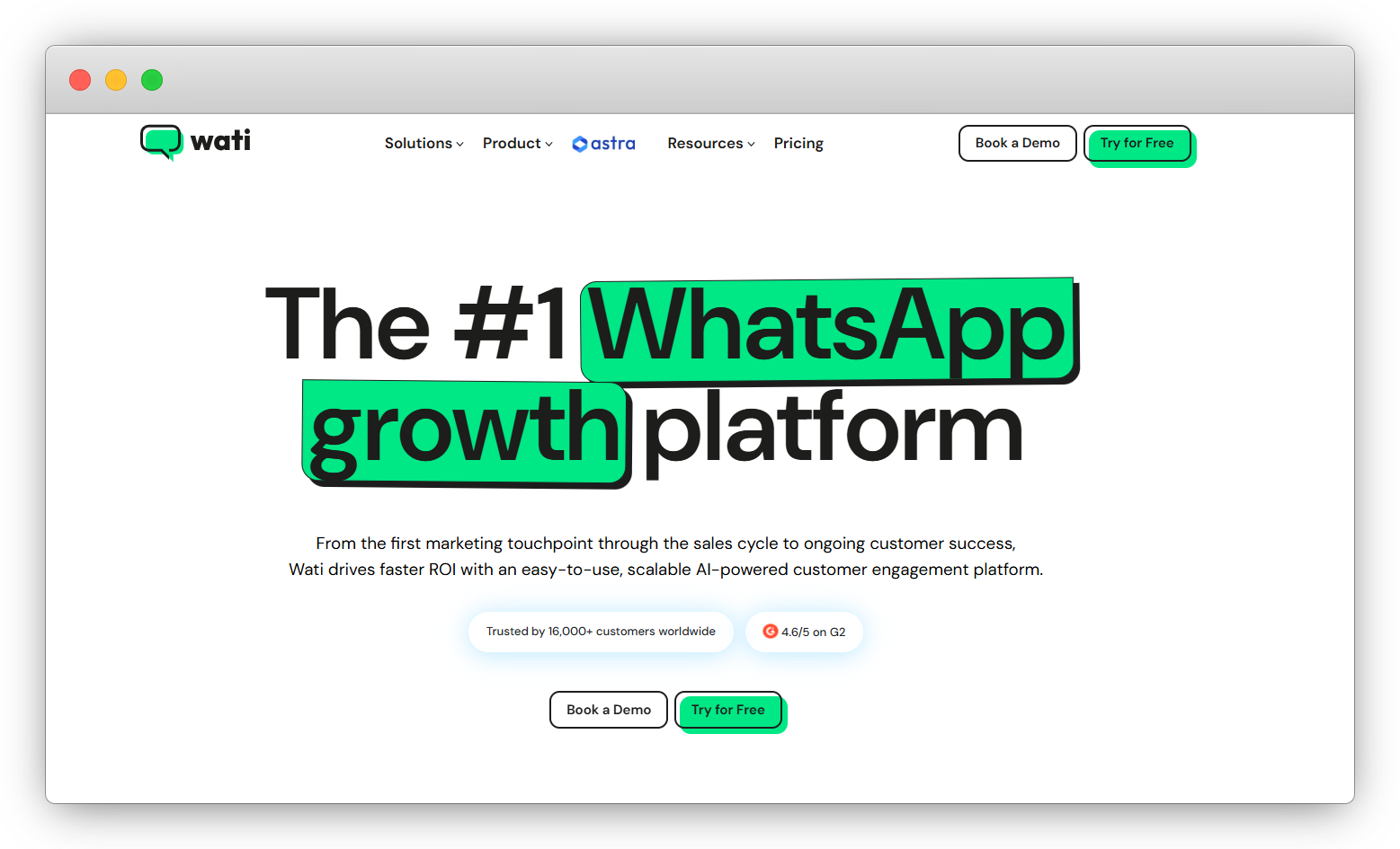 WhatsApp Chatbot: Wati