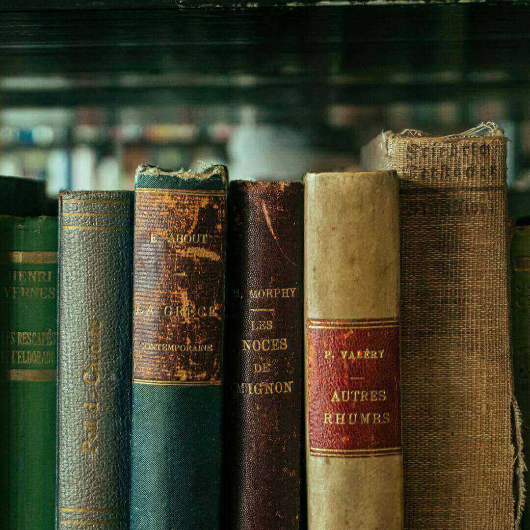 Alte Bücher Deutsch Plural Endungen Substantive German Plurals