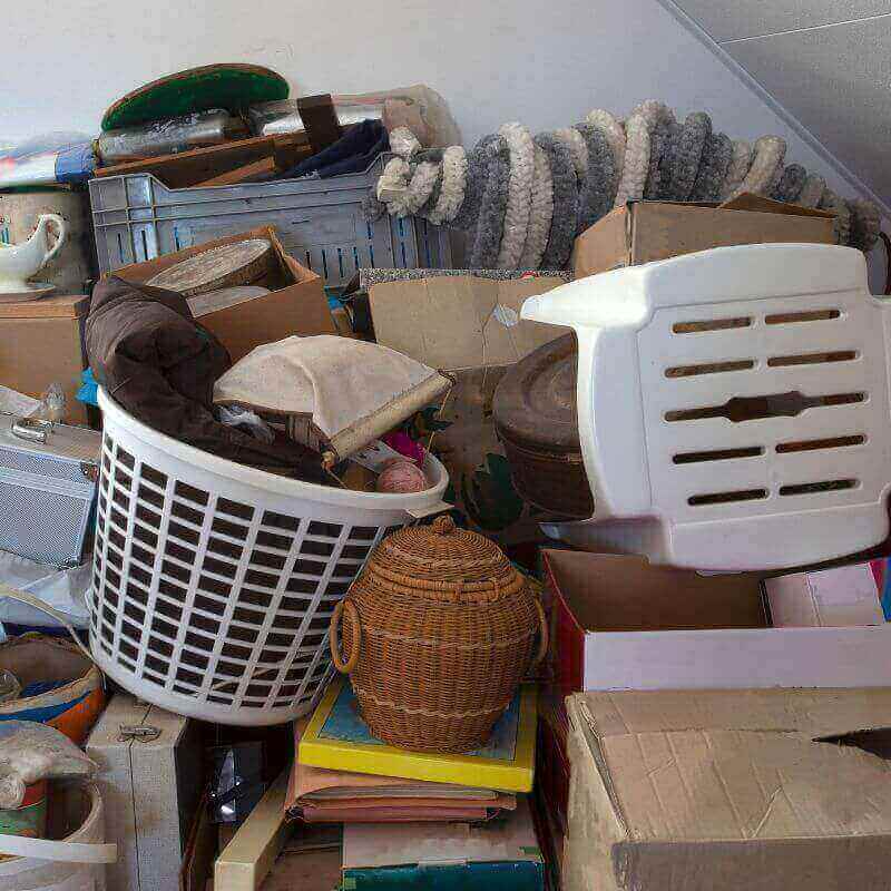 Messie Horter Hoarder 