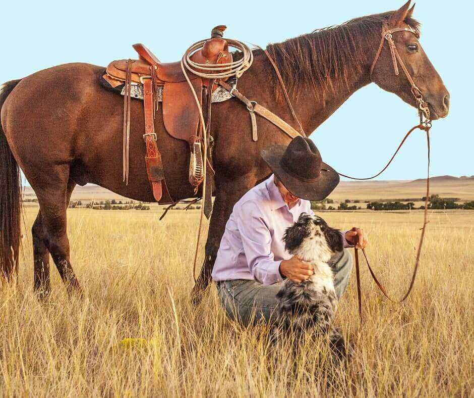 Pferd, Hund und ruhiger Mensch in einer offenen Landschaft als Symbol für Vertrauen, Sicherheit und emotionale Stabilität