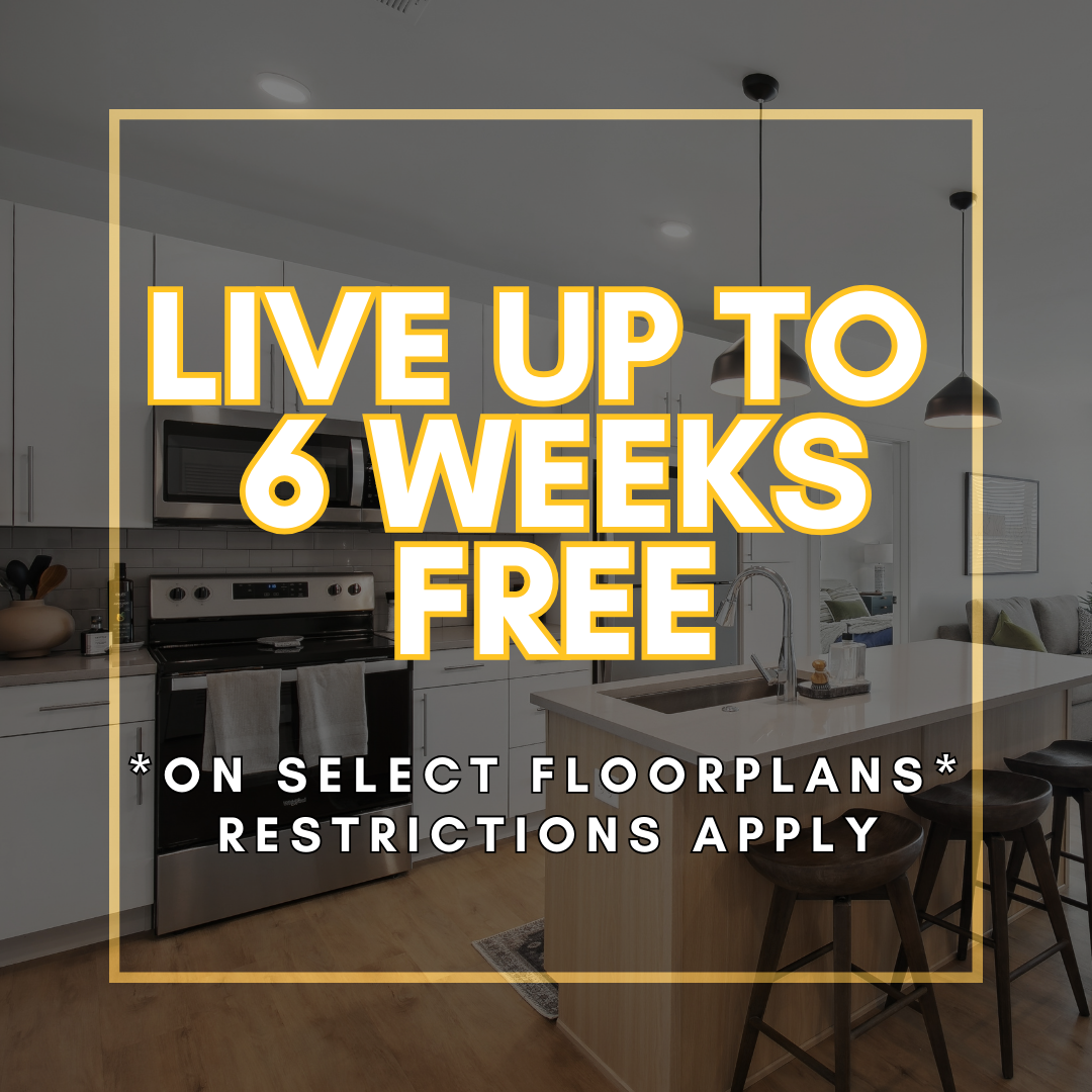 Promotional image offering "Live up to 8 weeks free" on select floor plans, a special leasing offer at Momentum apartments in West Jordan, UT.