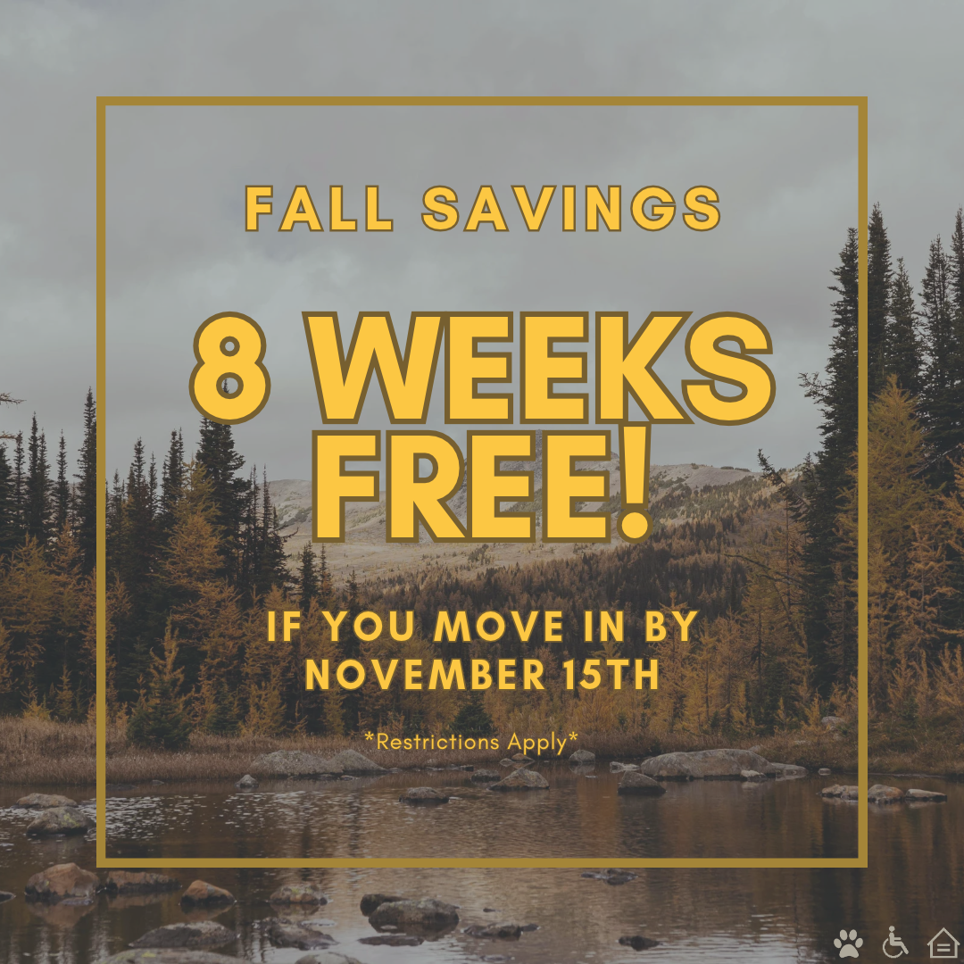 Promotional image offering "Live up to 8 weeks free" on select floor plans, a special leasing offer at Momentum apartments in West Jordan, UT.