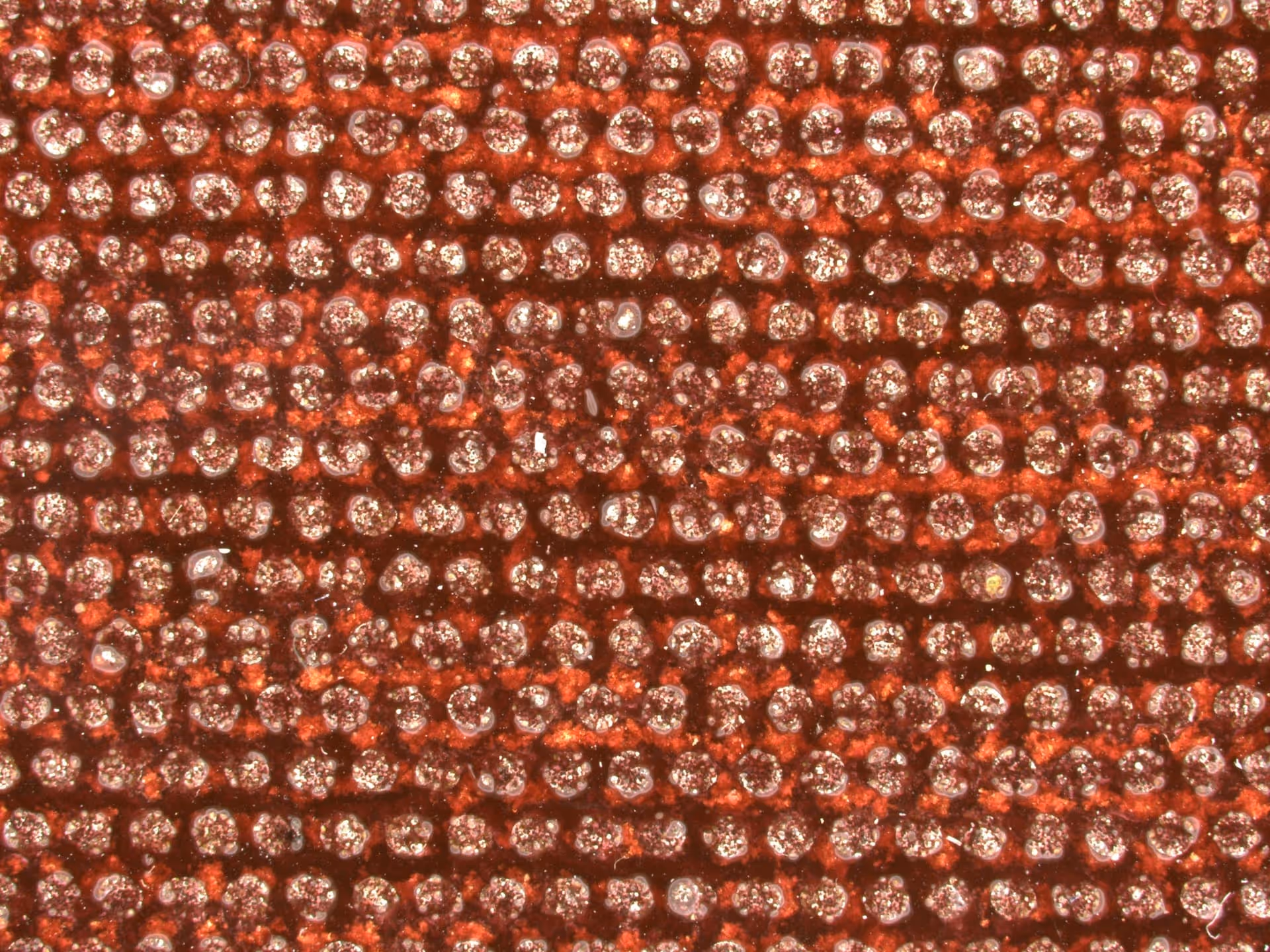 Flexible Bond tooling