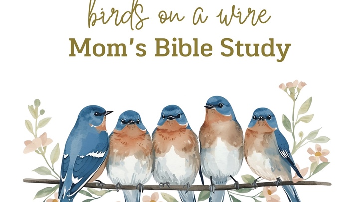 Women - Thursdays - ACF Church