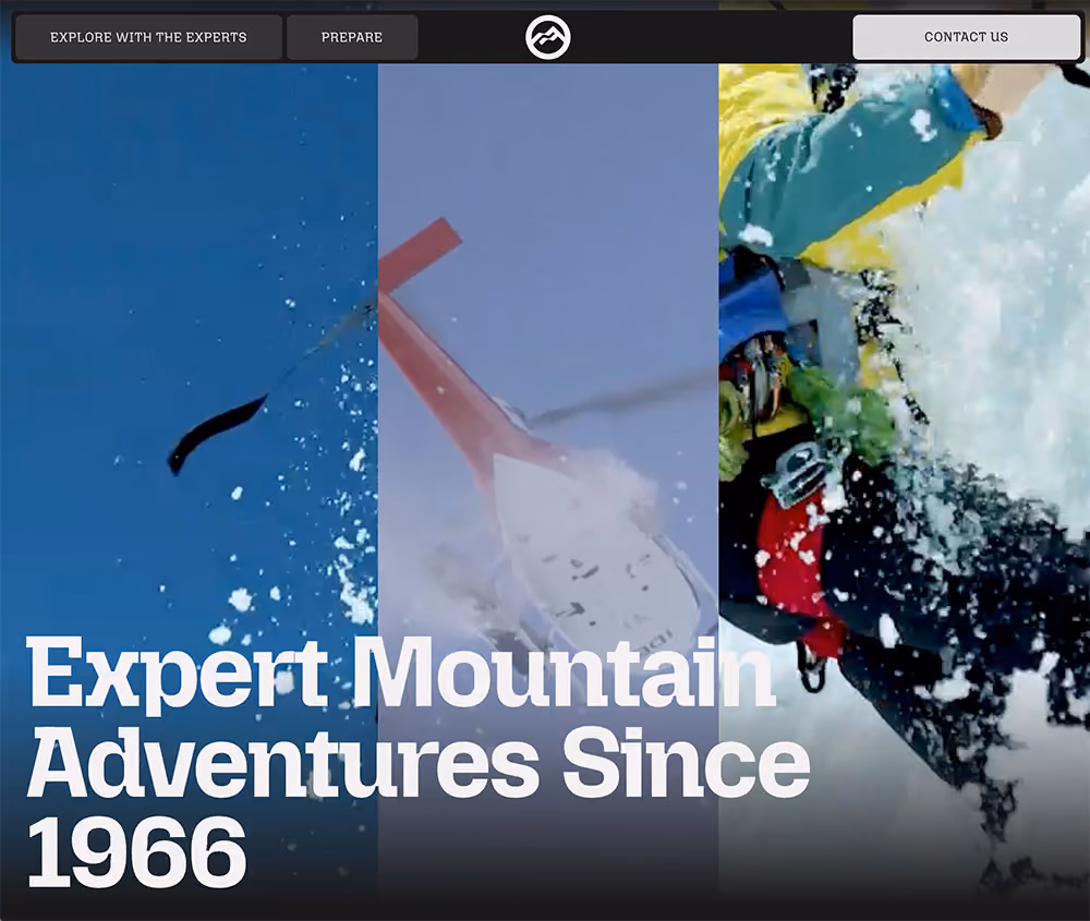 Alpine Guides design project