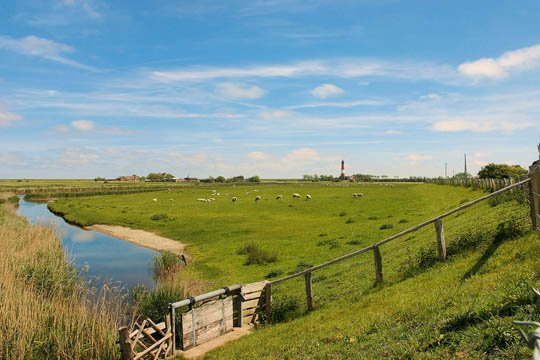 Grüne Wiese in der Nordsee