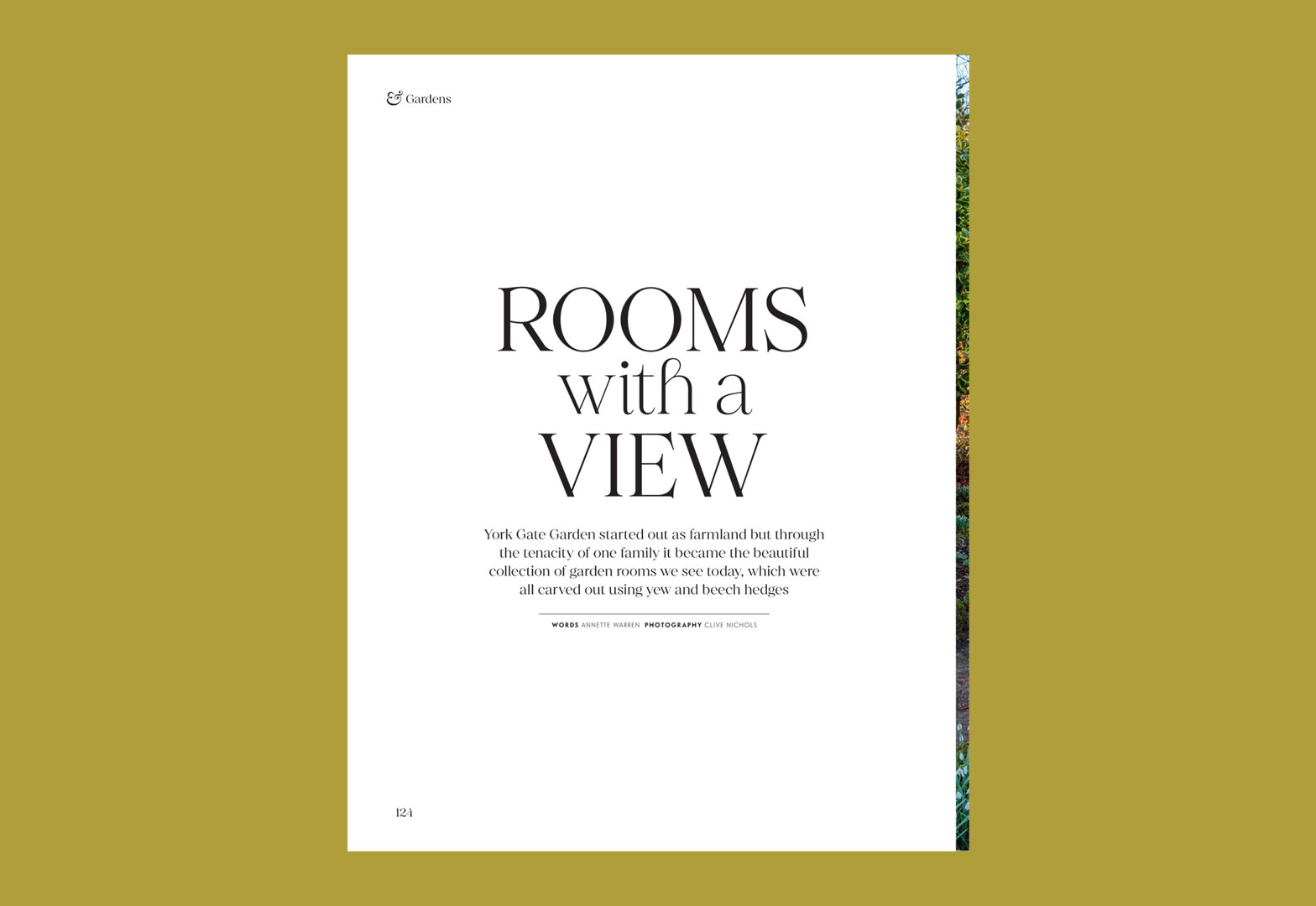 Rooms with a View