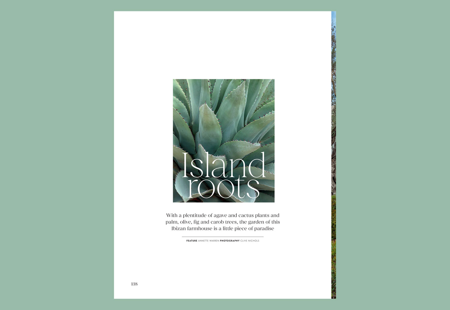Island Roots