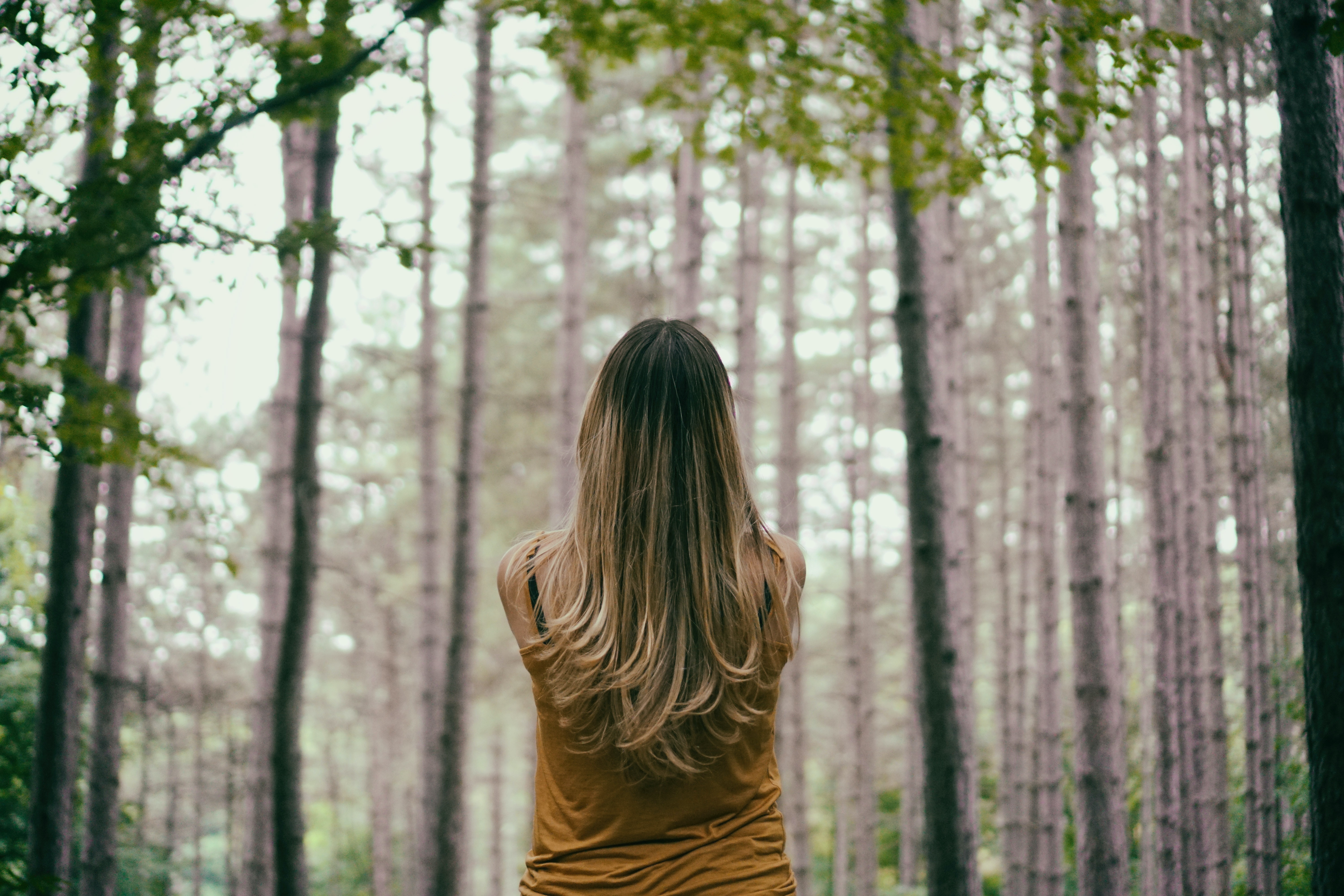 A woman looking out into the forest.