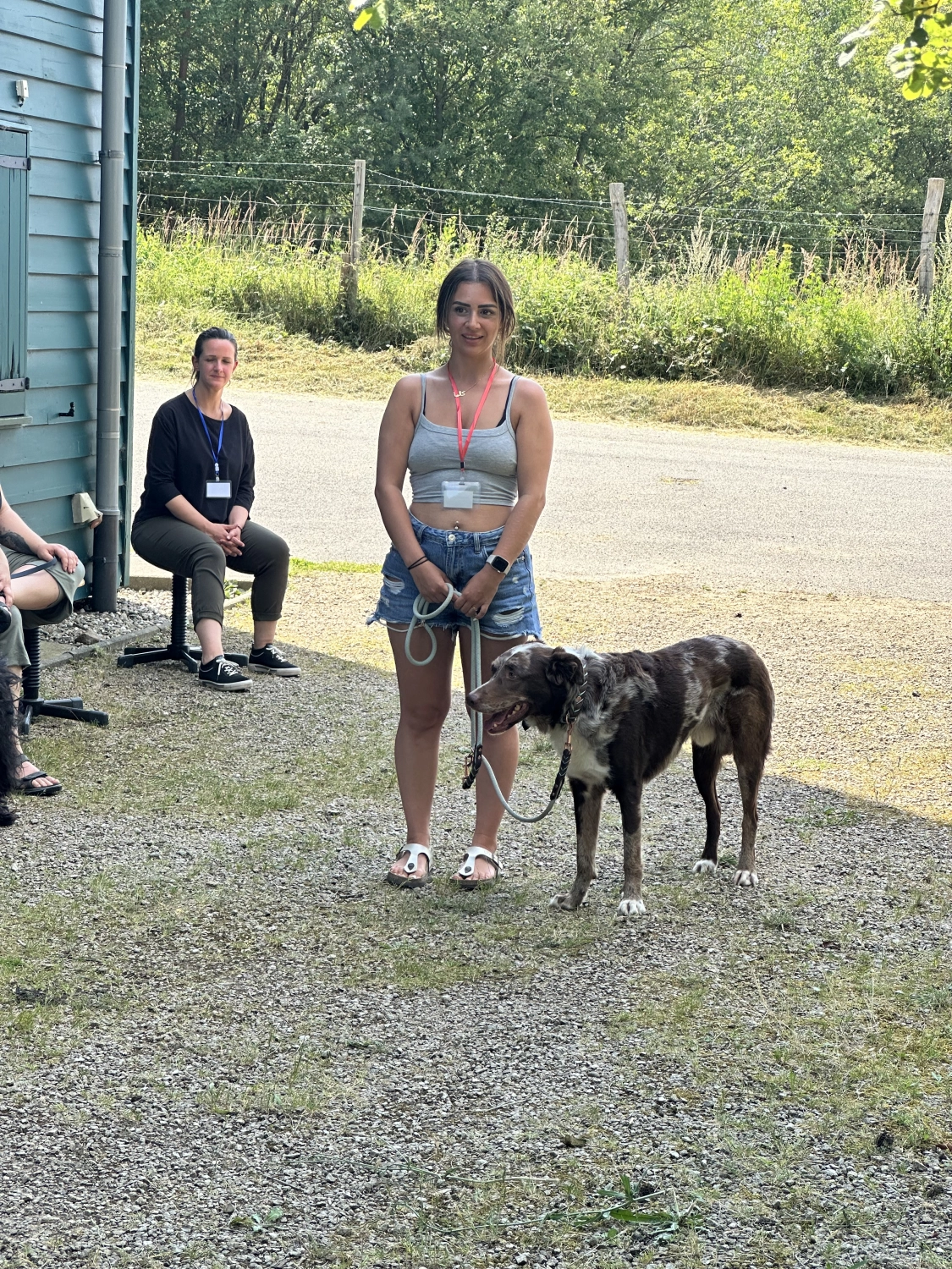 Mann leistet dem Hund Erste Hilfe von FellFibel