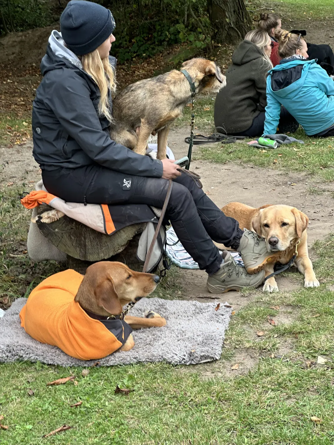 Mann leistet dem Hund Erste Hilfe von FellFibel