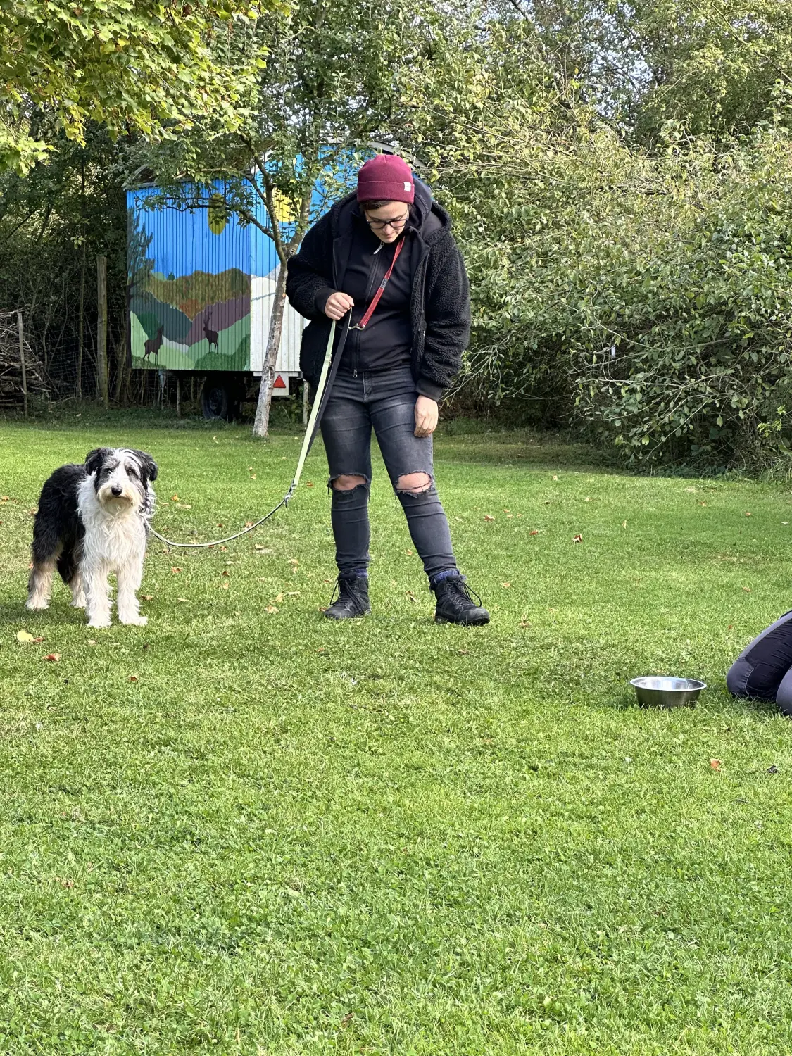 Mann leistet dem Hund Erste Hilfe von FellFibel