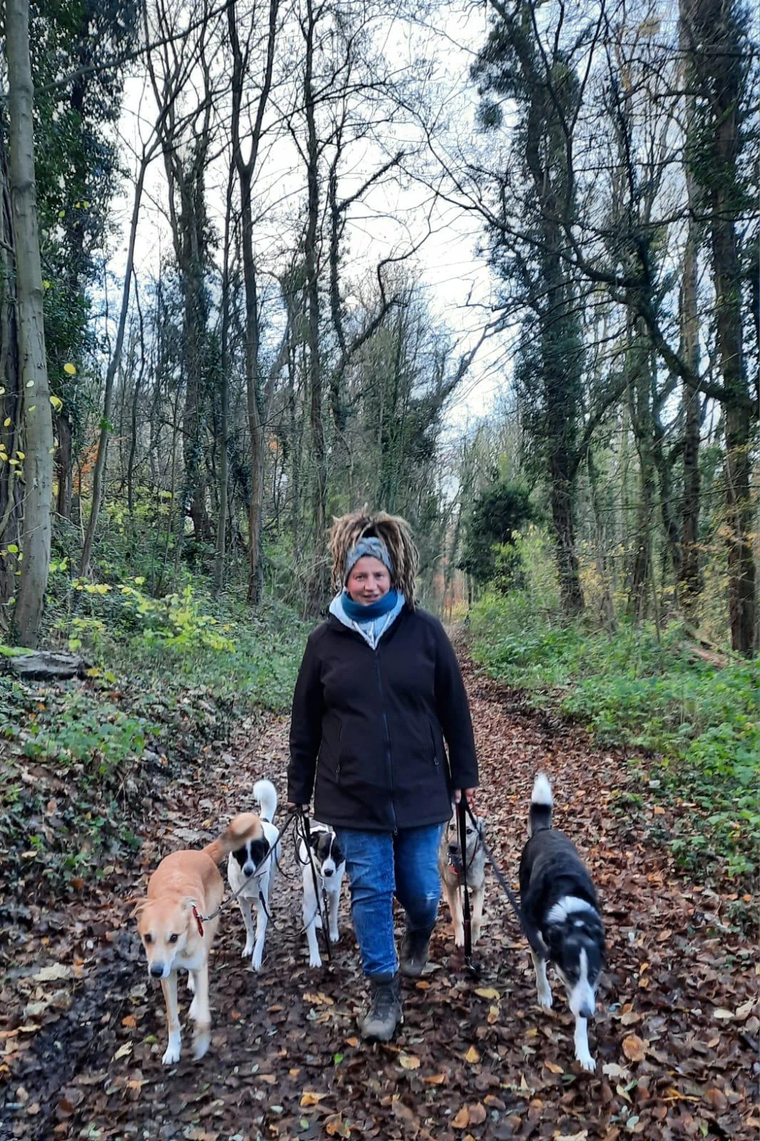 Ein Mann mit einer Hundecollage