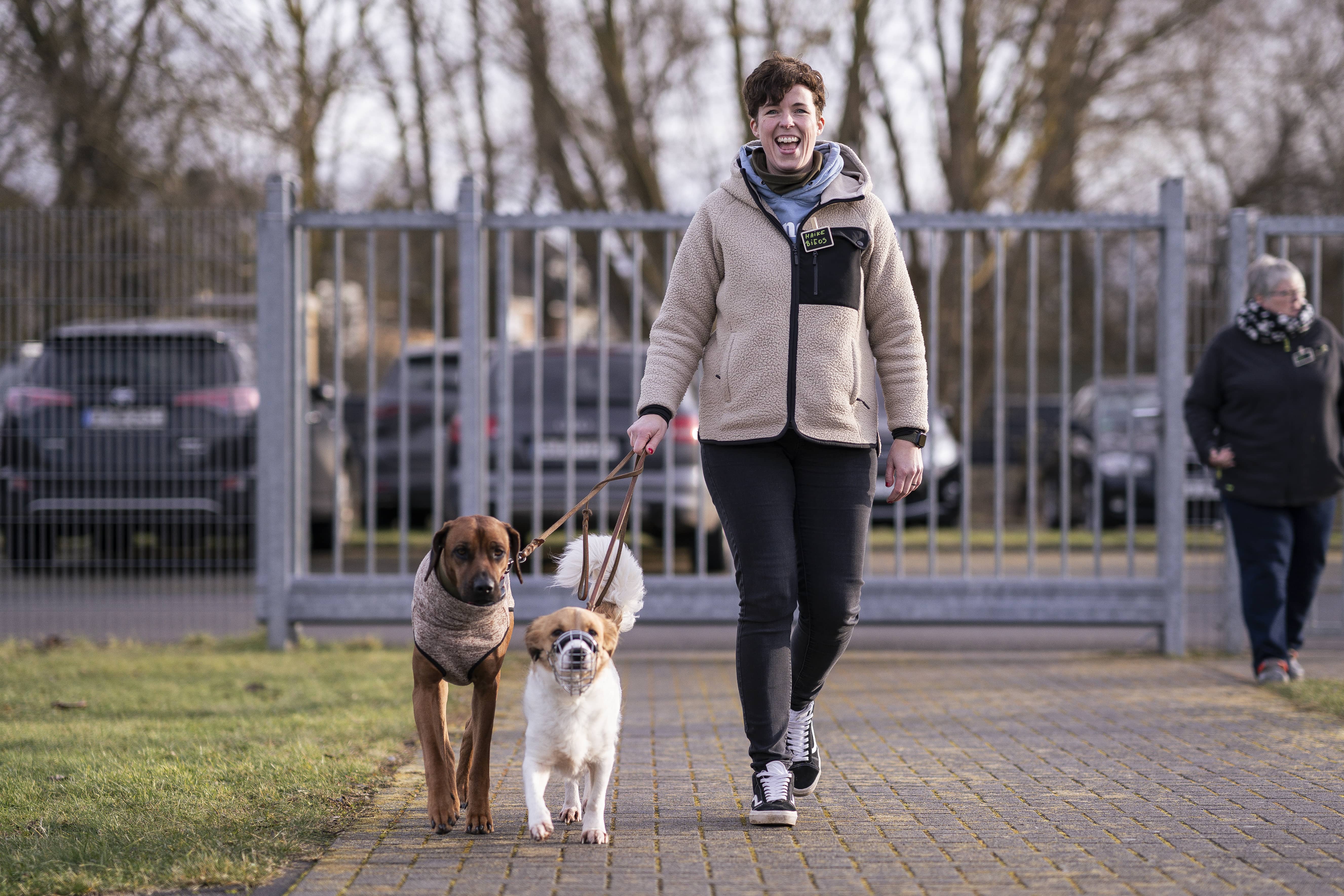 Mann leistet dem Hund Erste Hilfe von FellFibel
