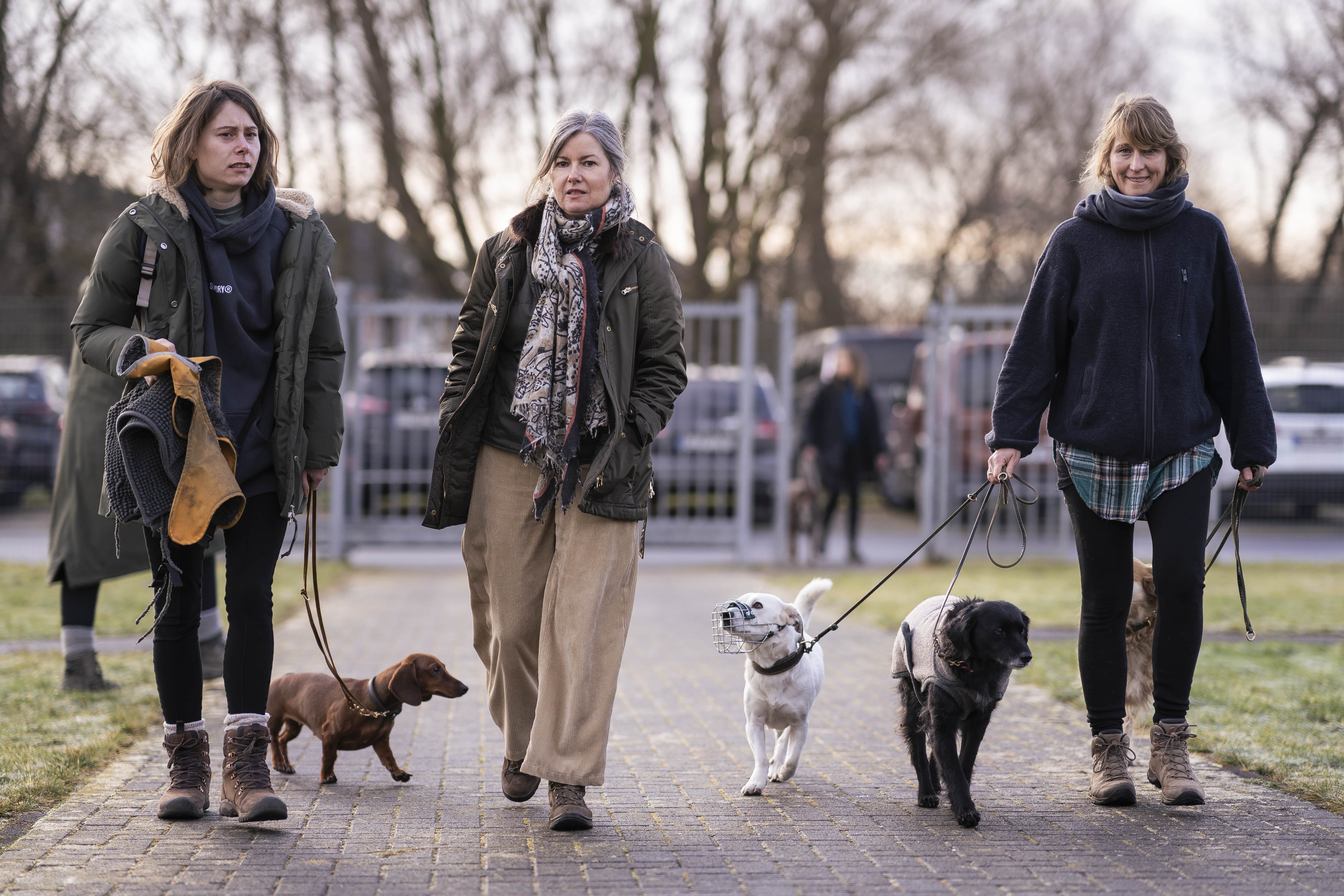 Mann leistet dem Hund Erste Hilfe von FellFibel