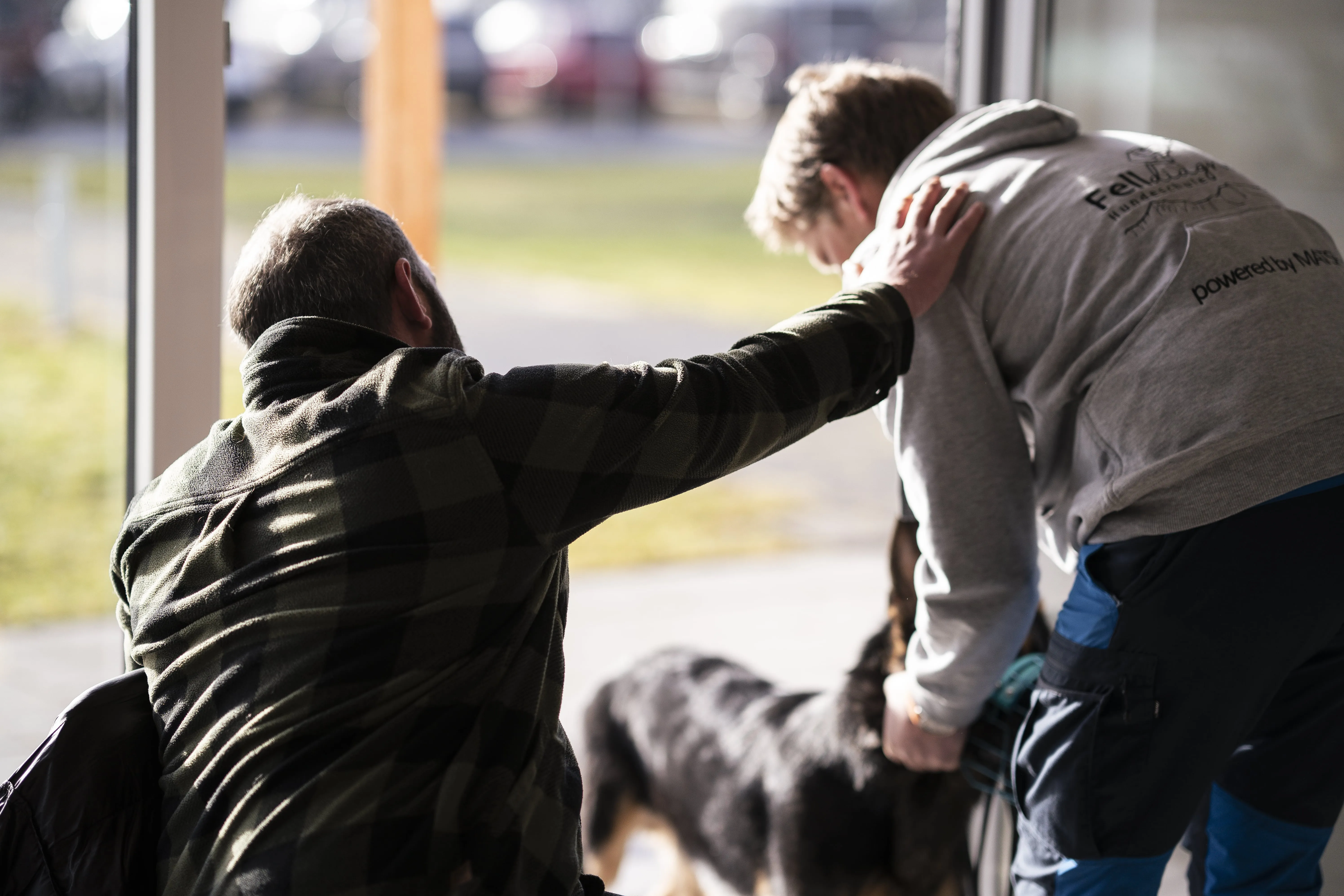 Mann leistet dem Hund Erste Hilfe von FellFibel