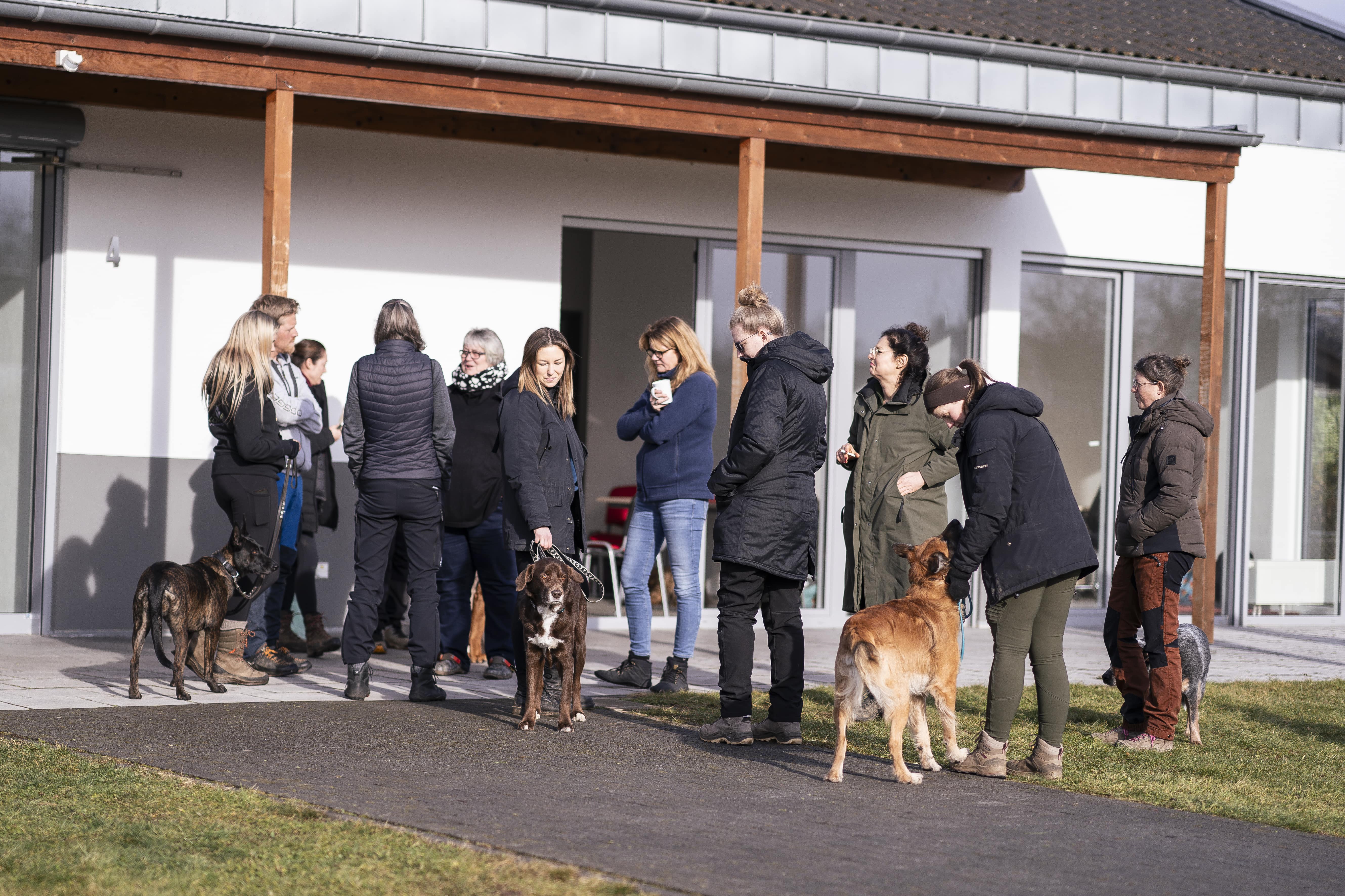 Mann leistet dem Hund Erste Hilfe von FellFibel