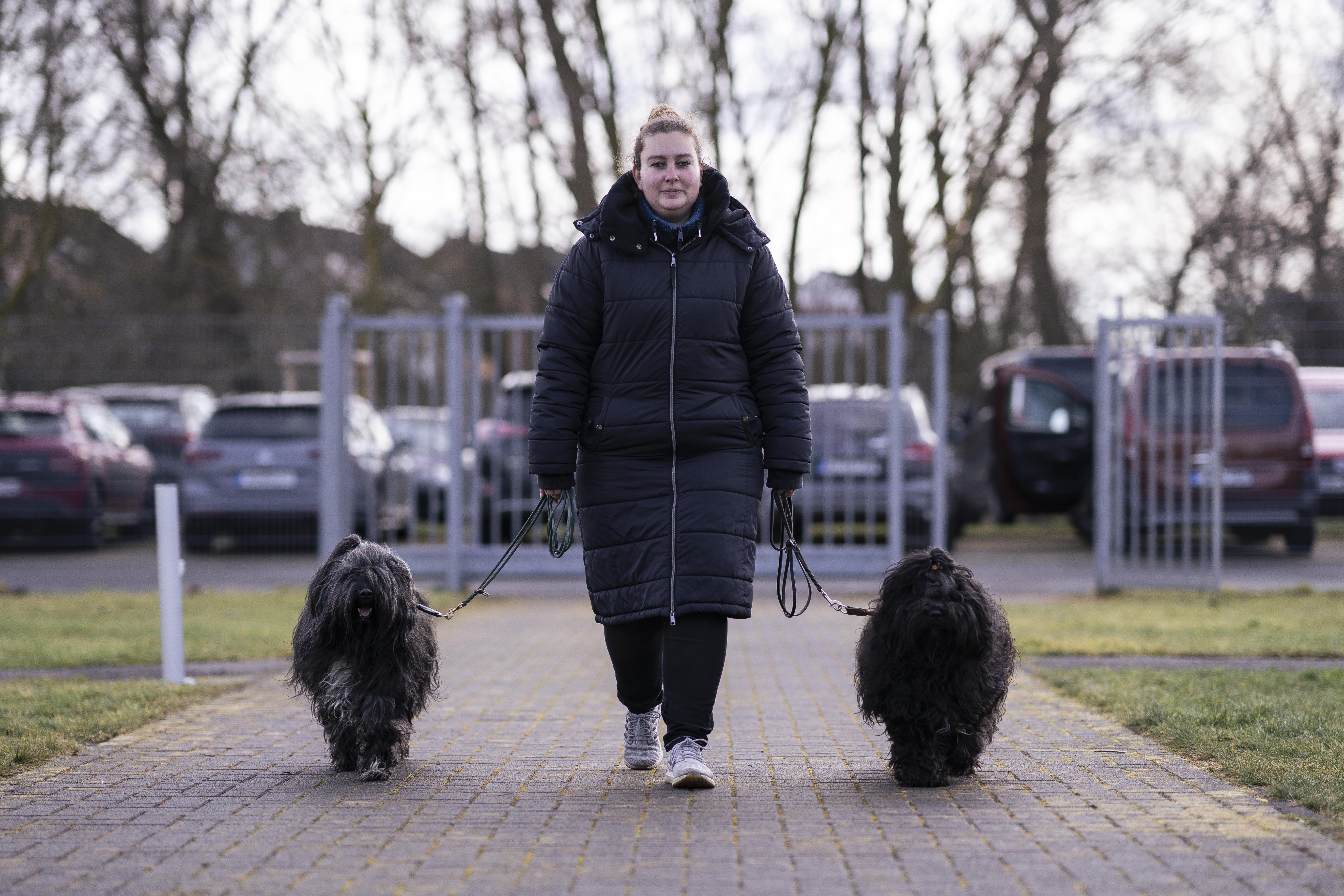Mann leistet dem Hund Erste Hilfe von FellFibel