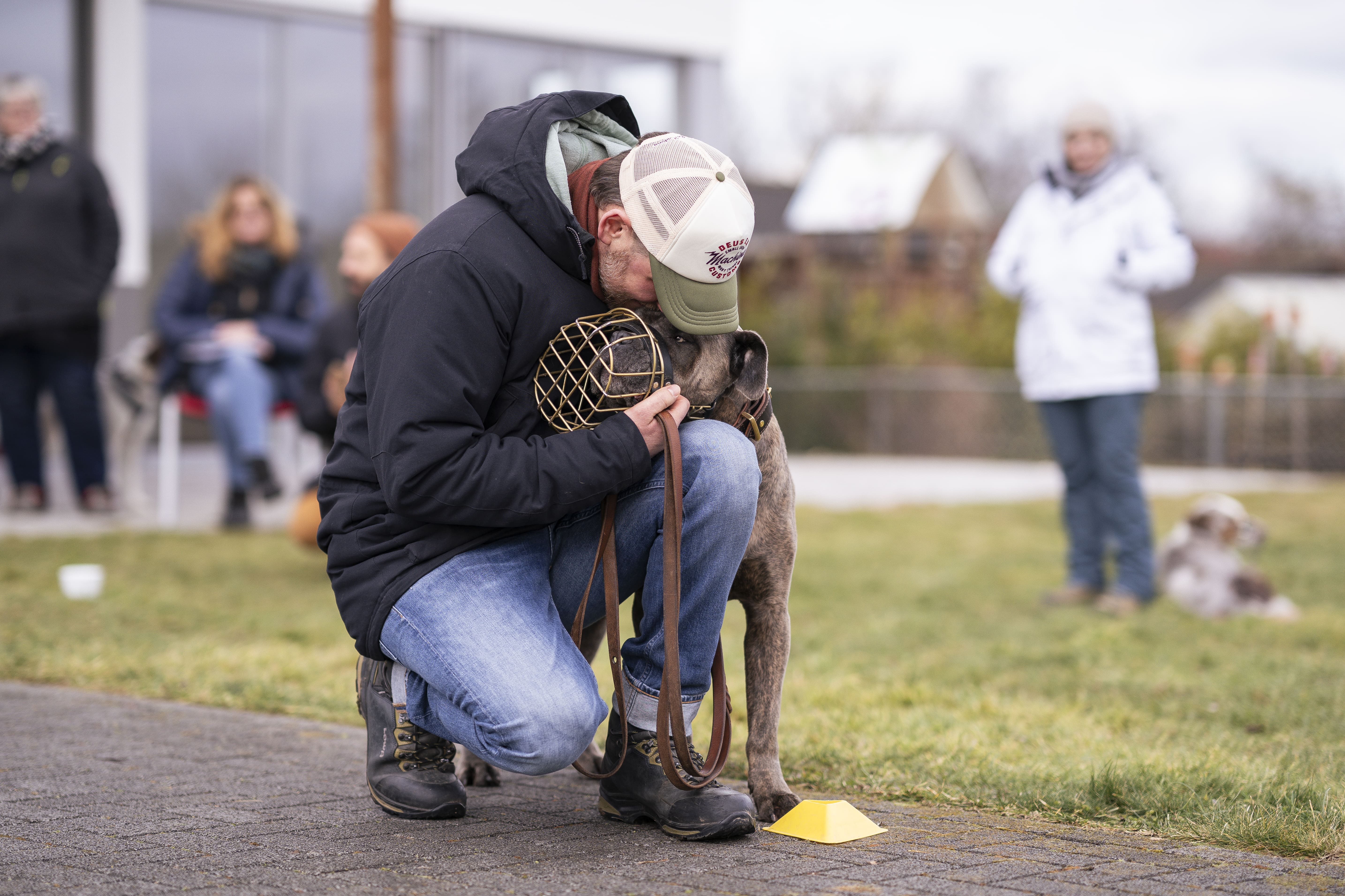 Mann leistet dem Hund Erste Hilfe von FellFibel