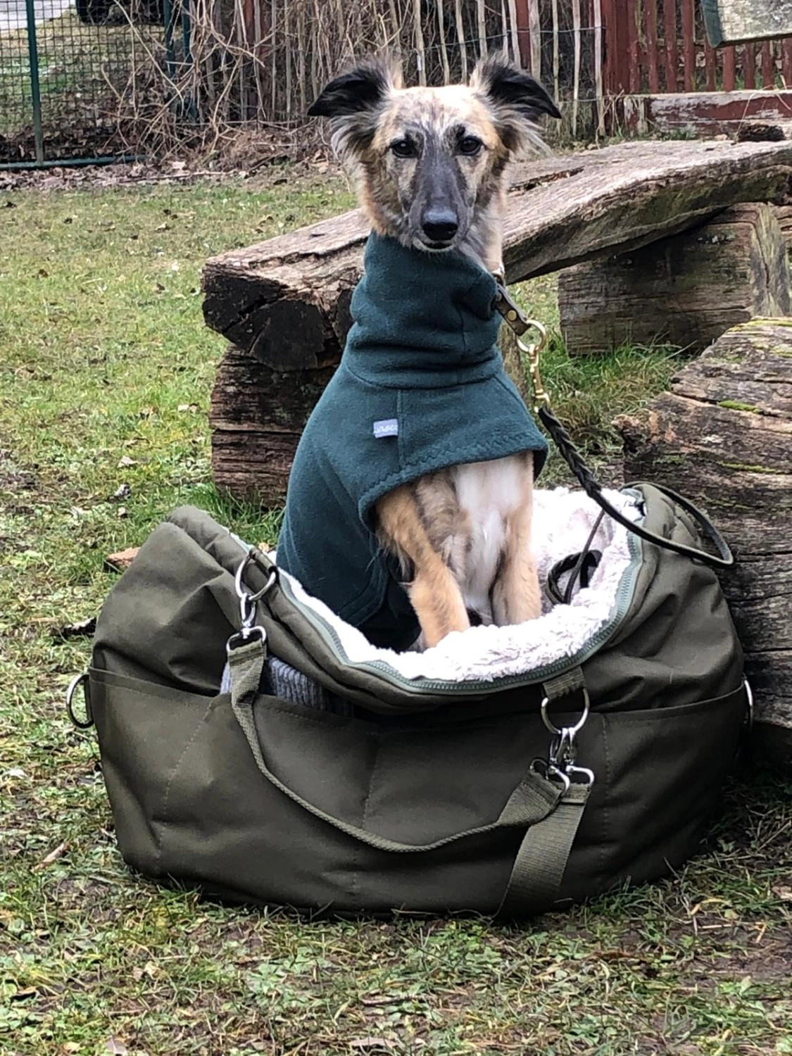 Mann leistet dem Hund Erste Hilfe von FellFibel