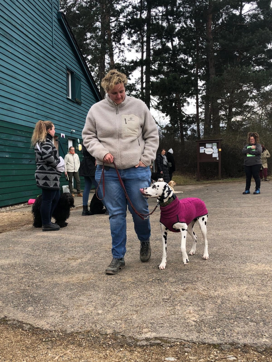 Mann leistet dem Hund Erste Hilfe von FellFibel