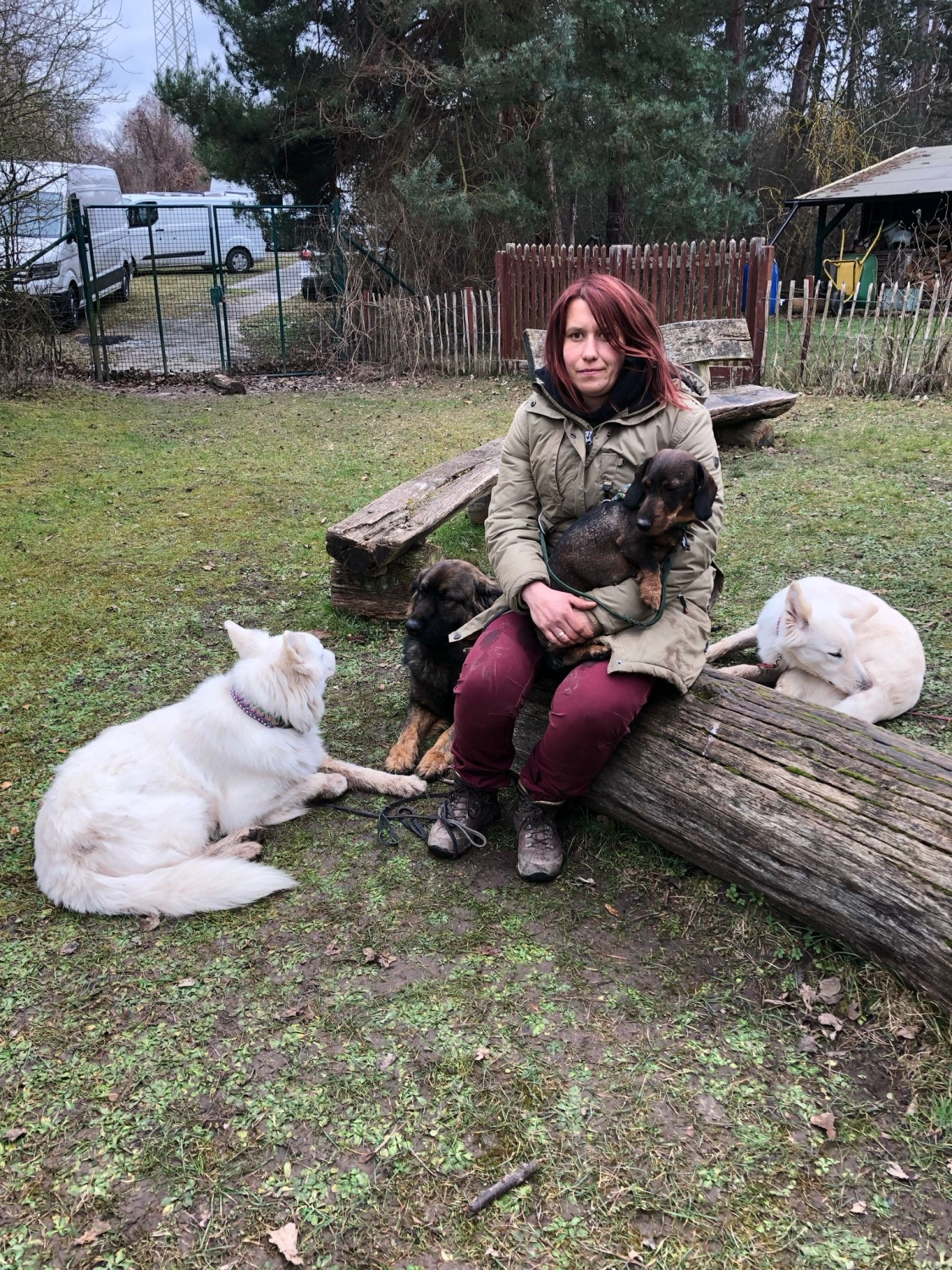 Mann leistet dem Hund Erste Hilfe von FellFibel