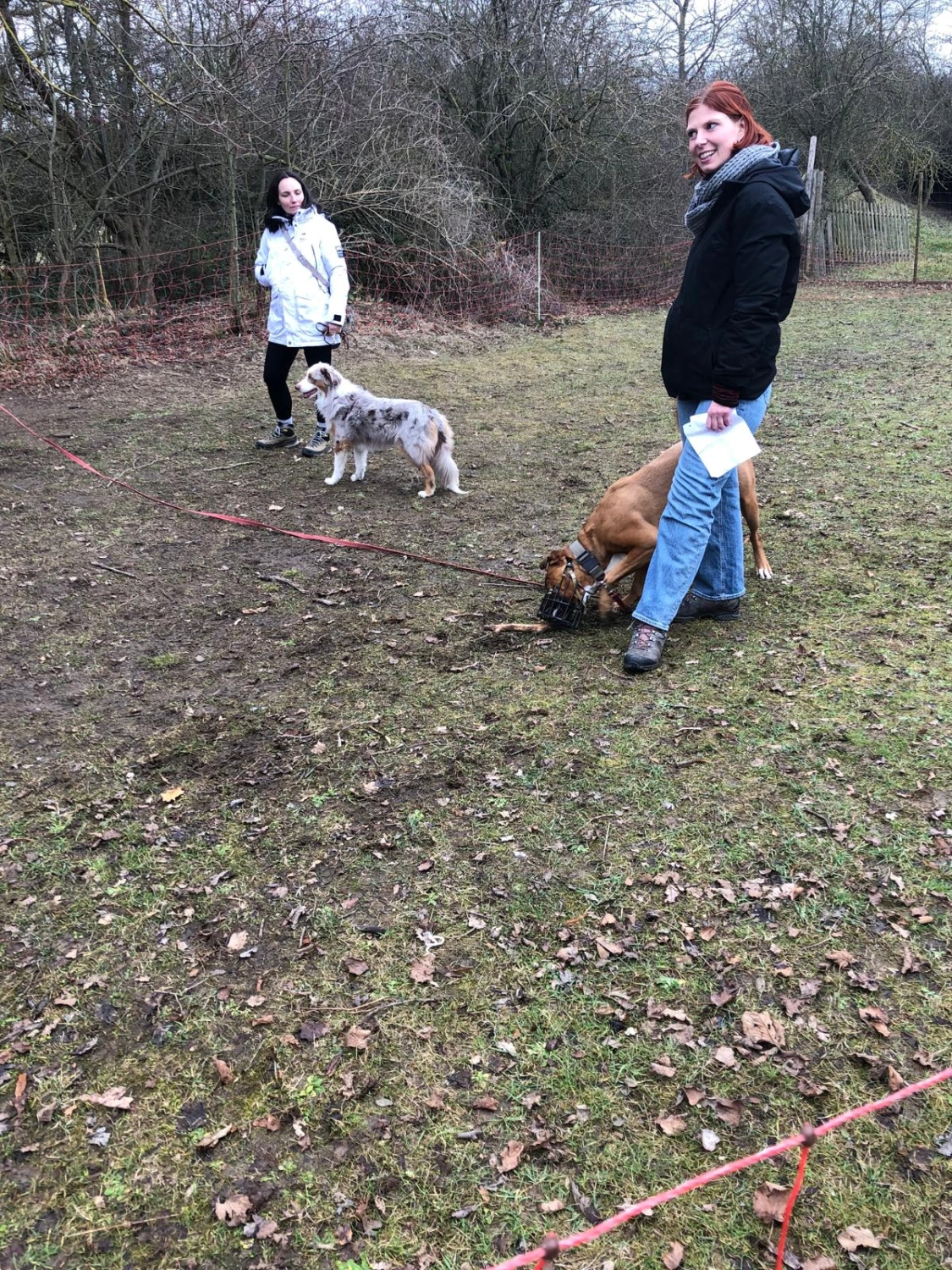Mann leistet dem Hund Erste Hilfe von FellFibel