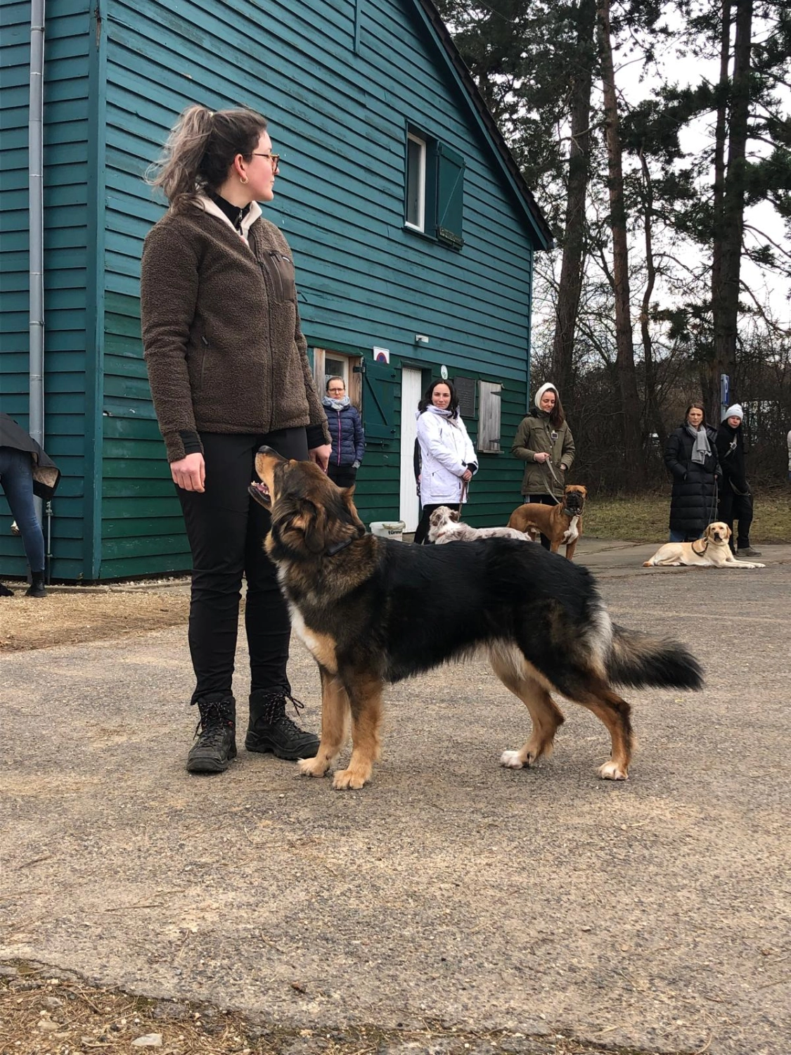 Mann leistet dem Hund Erste Hilfe von FellFibel