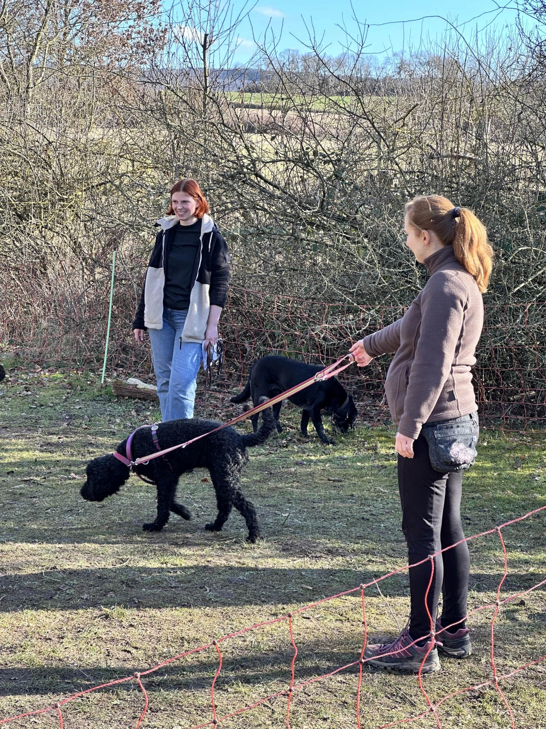 Mann leistet dem Hund Erste Hilfe von FellFibel