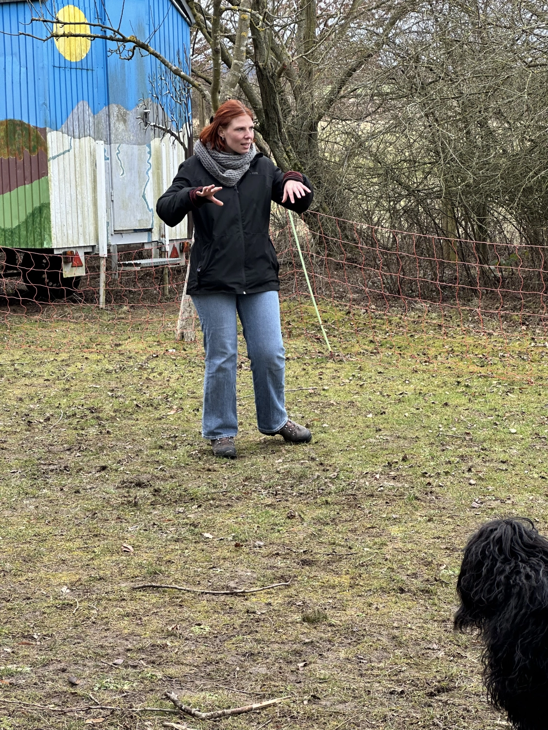 Mann leistet dem Hund Erste Hilfe von FellFibel