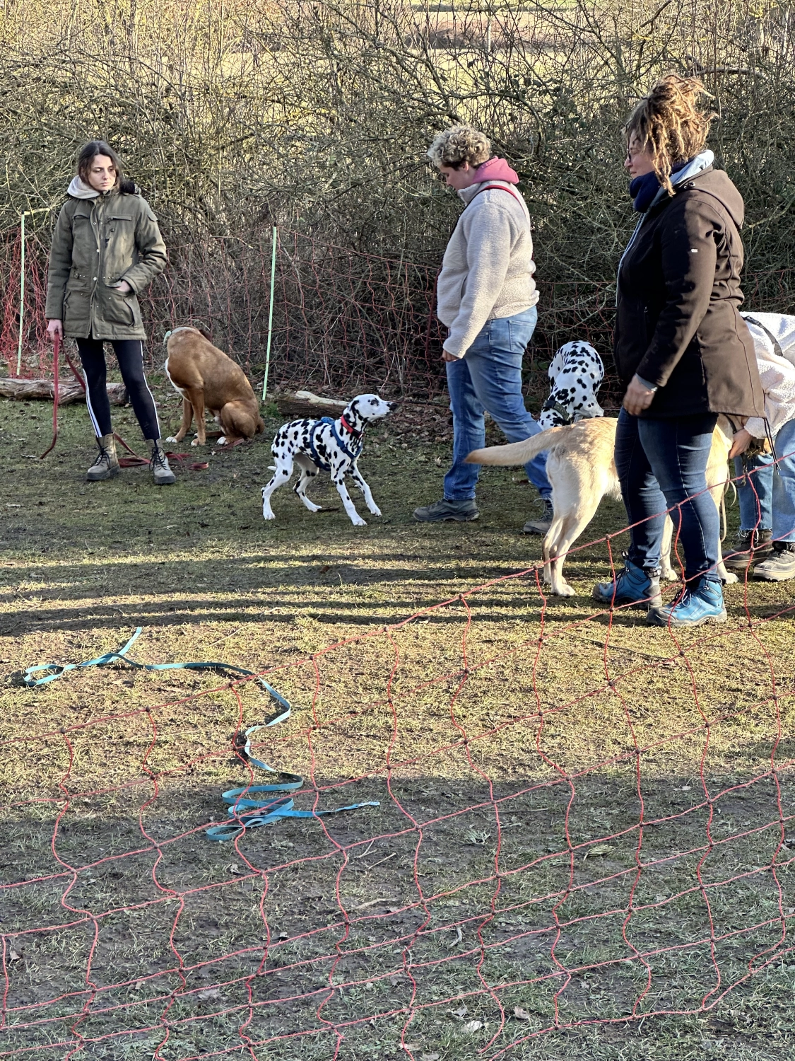 Mann leistet dem Hund Erste Hilfe von FellFibel